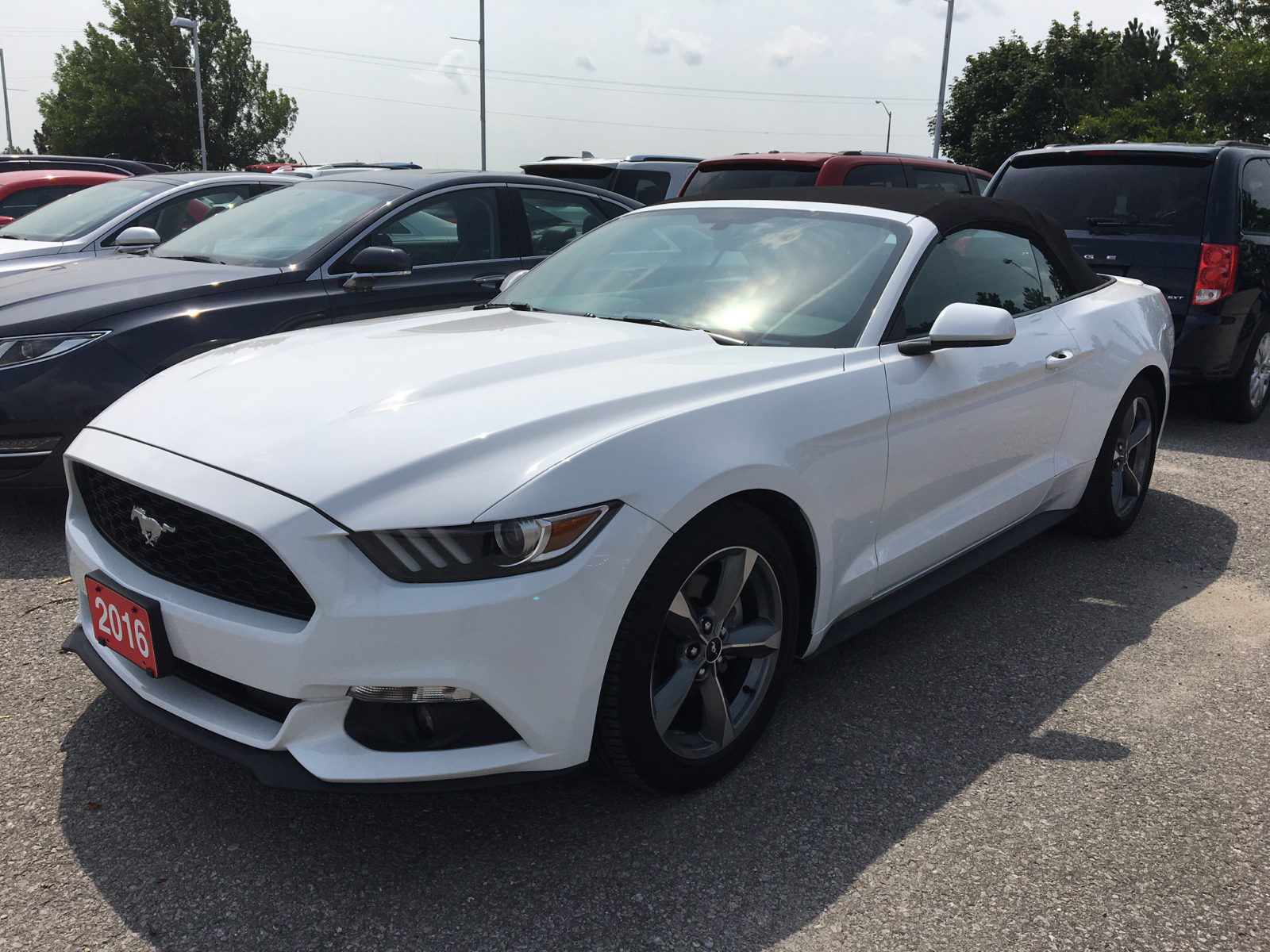 Used 2016 Ford Mustang in Lindsay,ON
