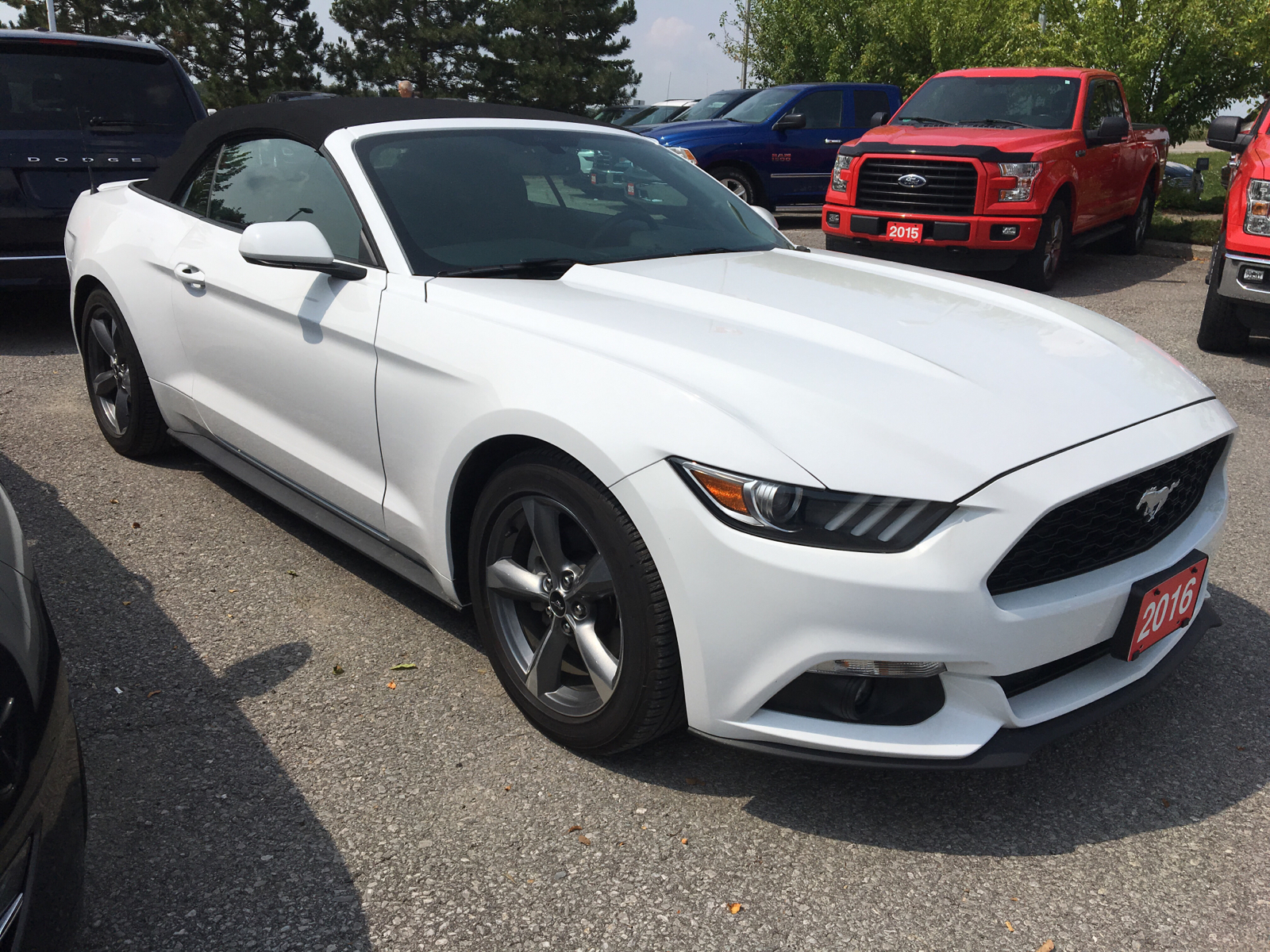 Used 2016 Ford Mustang in Lindsay,ON