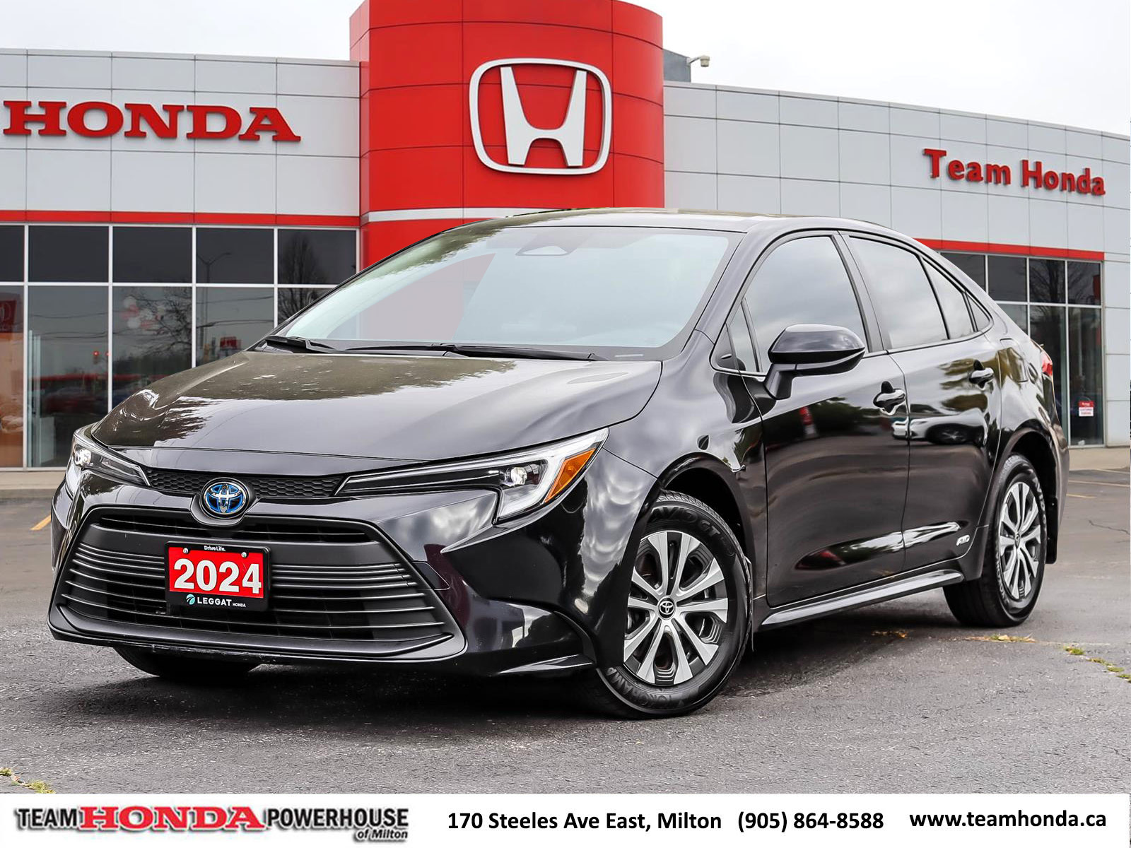 2024 Toyota Corolla Hybrid