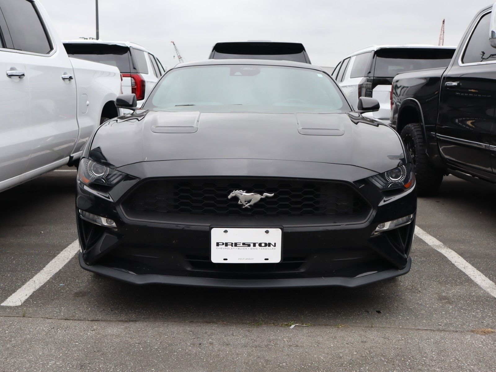 Ford Mustang