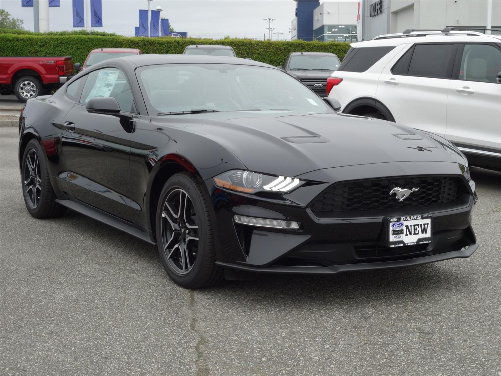 2019 Ford Mustang EcoBoost® Premium Shadow Black, 2.3L EcoBoost® Engine ...