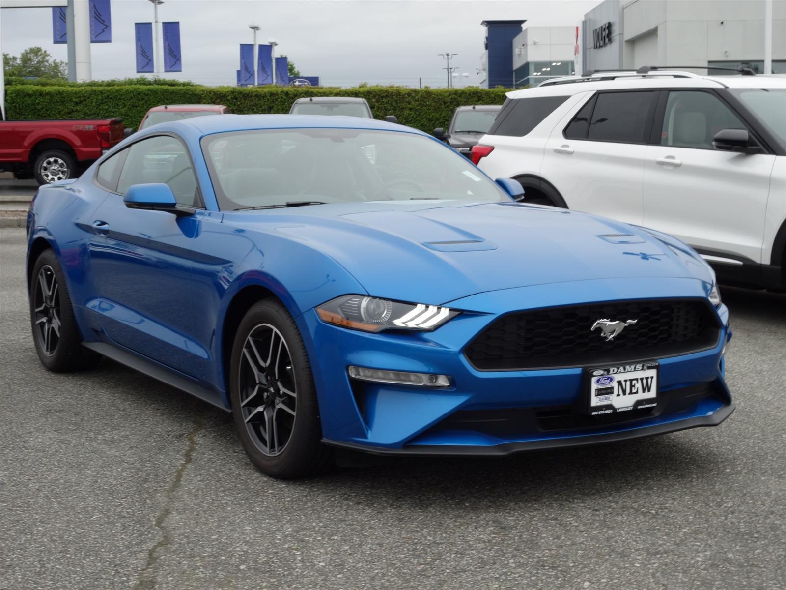 2019 Ford Mustang EcoBoost® Premium Velocity Blue, 2.3L EcoBoost ...