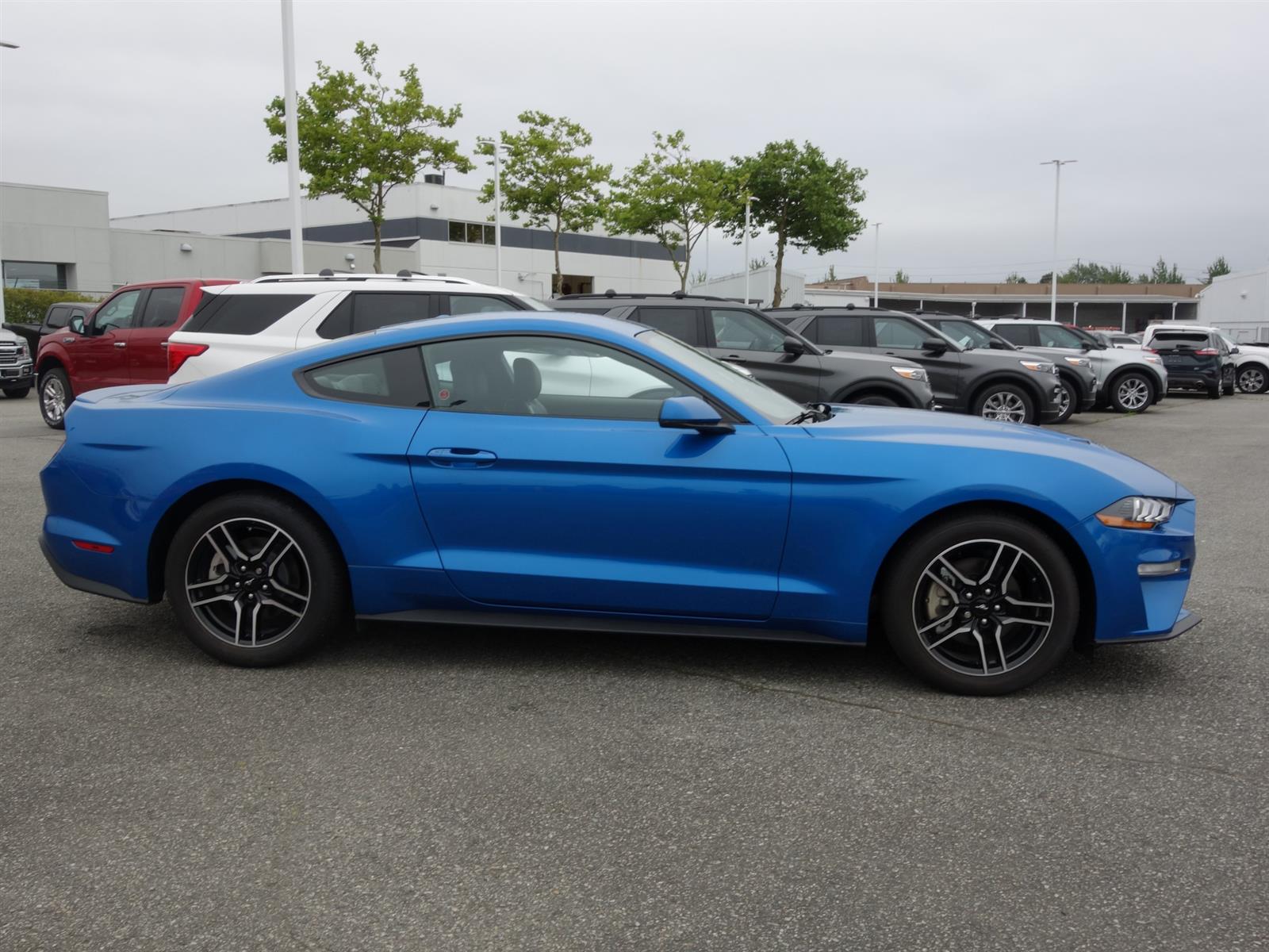 2019 Ford Mustang EcoBoost® Premium Velocity Blue, 2.3L EcoBoost ...