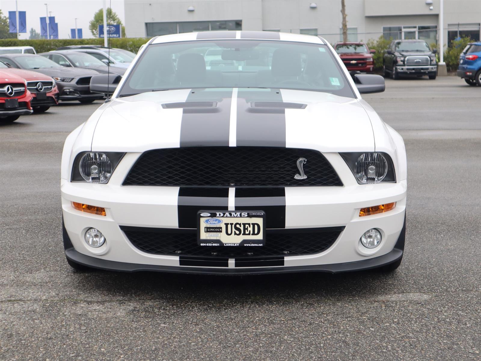 2009 Ford MUSTANG SHELBY GT500