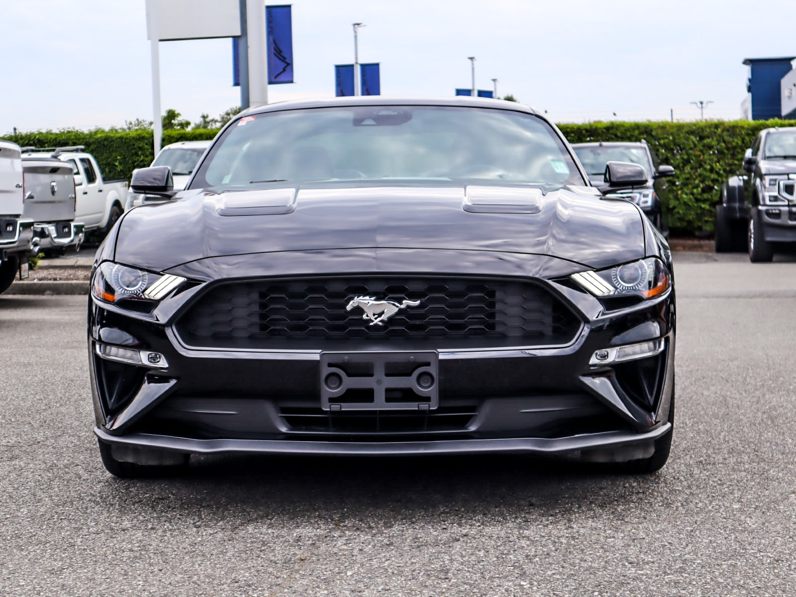 2021 Ford MUSTANG ECOBOOST