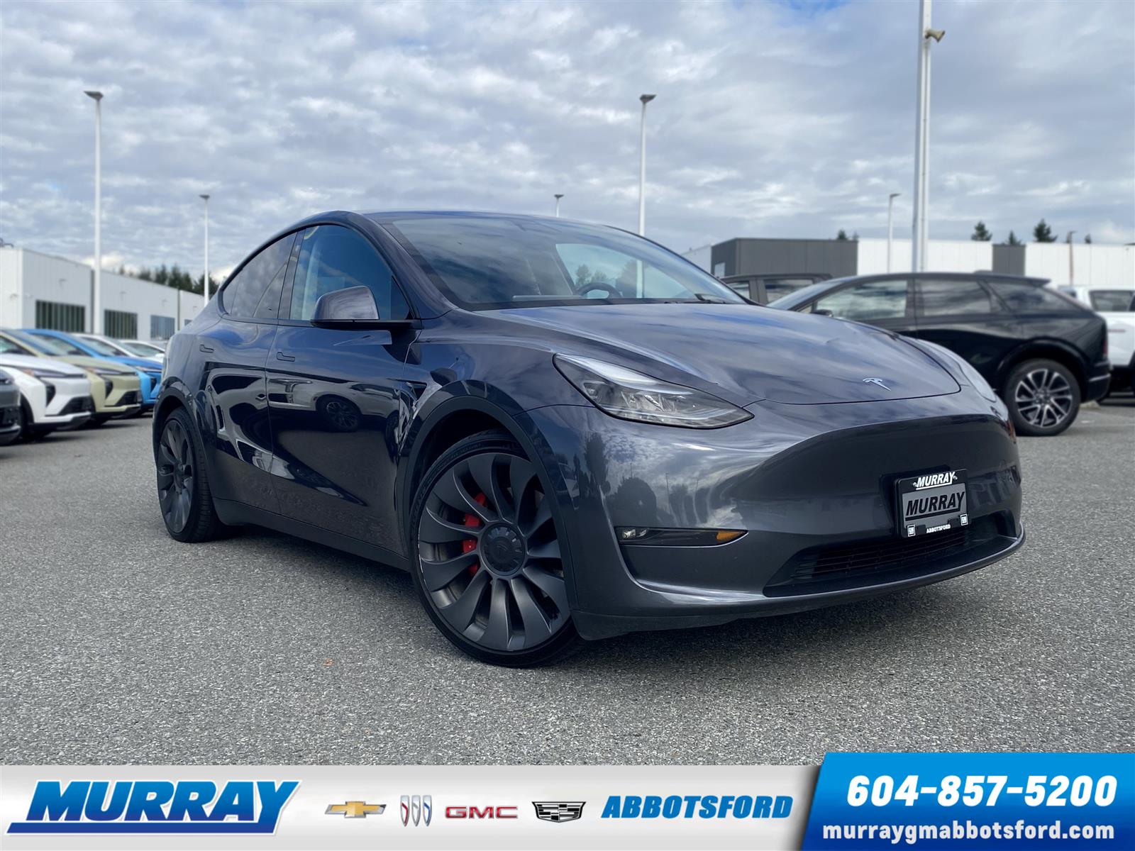 2023 Tesla Model Y