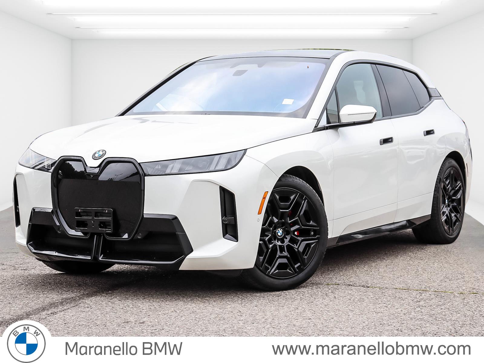 2026 BMW iX