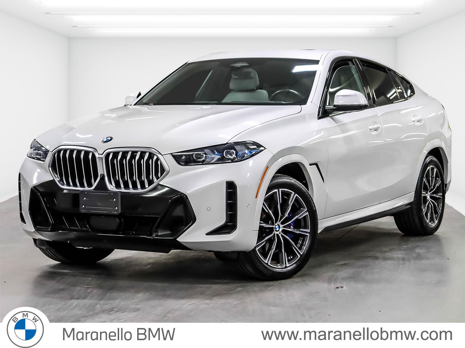 2024 BMW X6