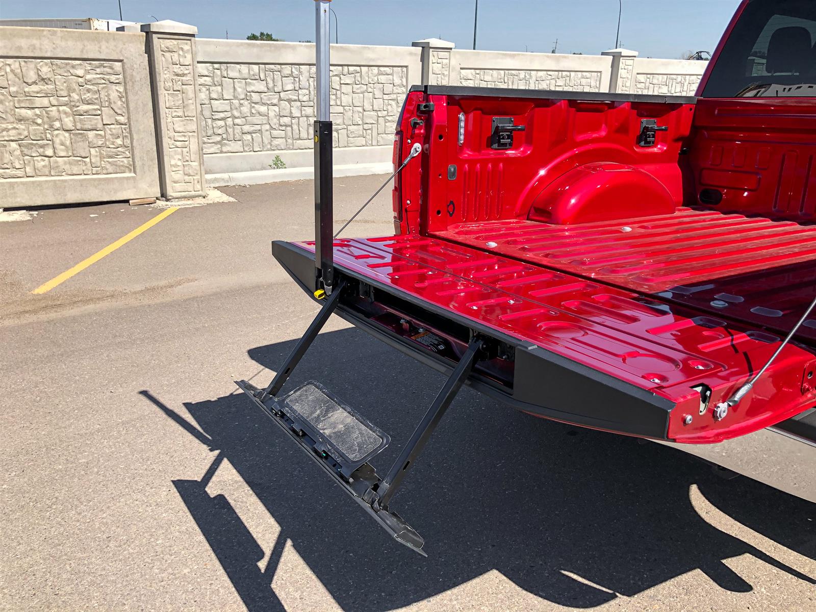 Ford 150 Tailgate Step