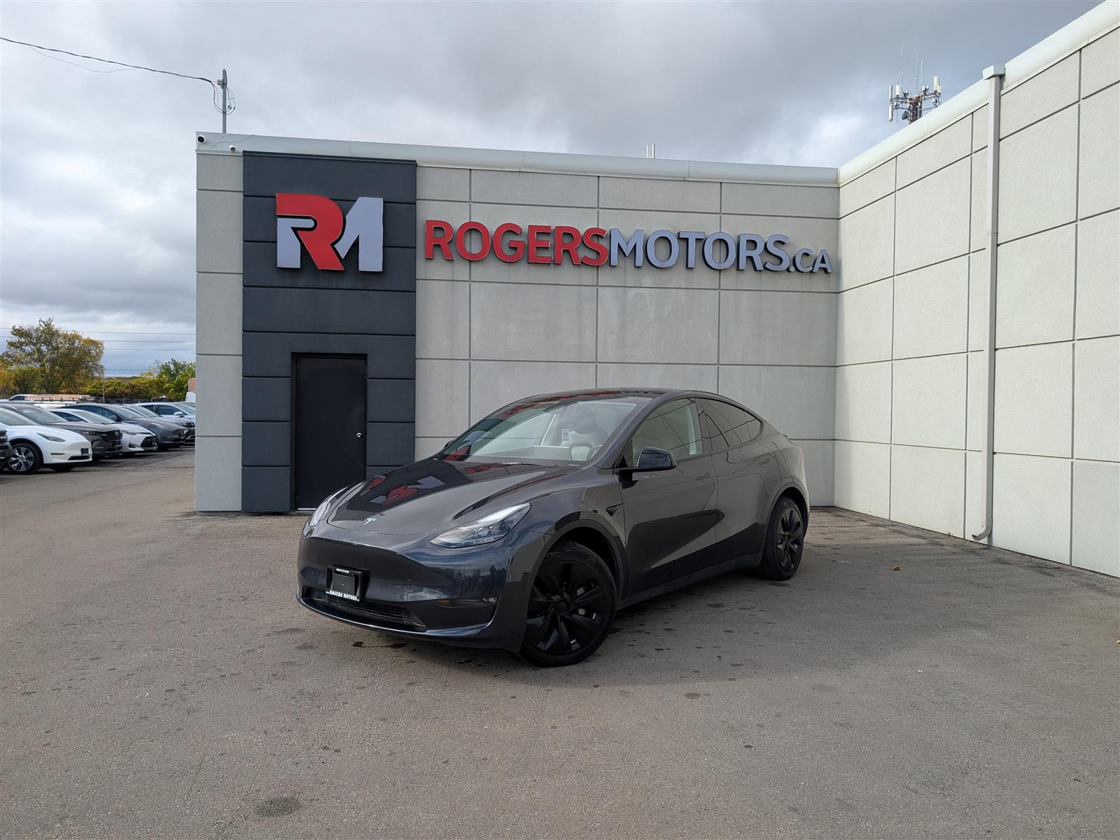 2024 Tesla Model Y