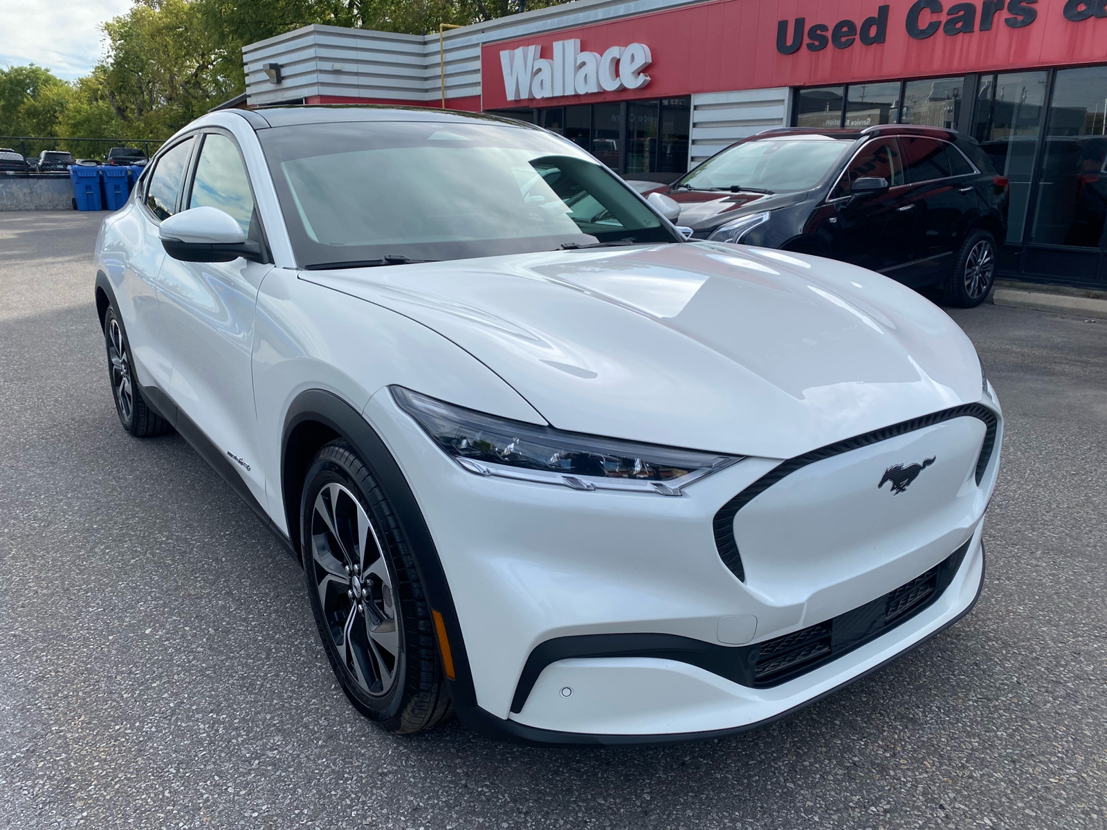 2021 Ford Mustang Mach-E