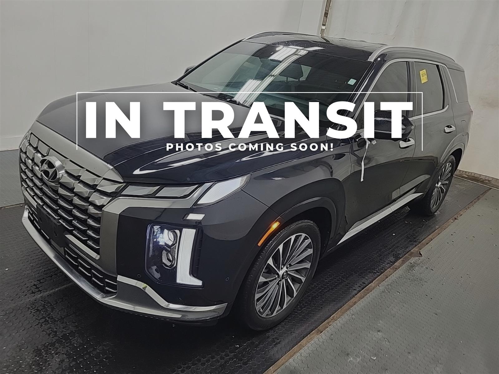 Blue 2023 Hyundai Palisade SUV / Crossover Automatic