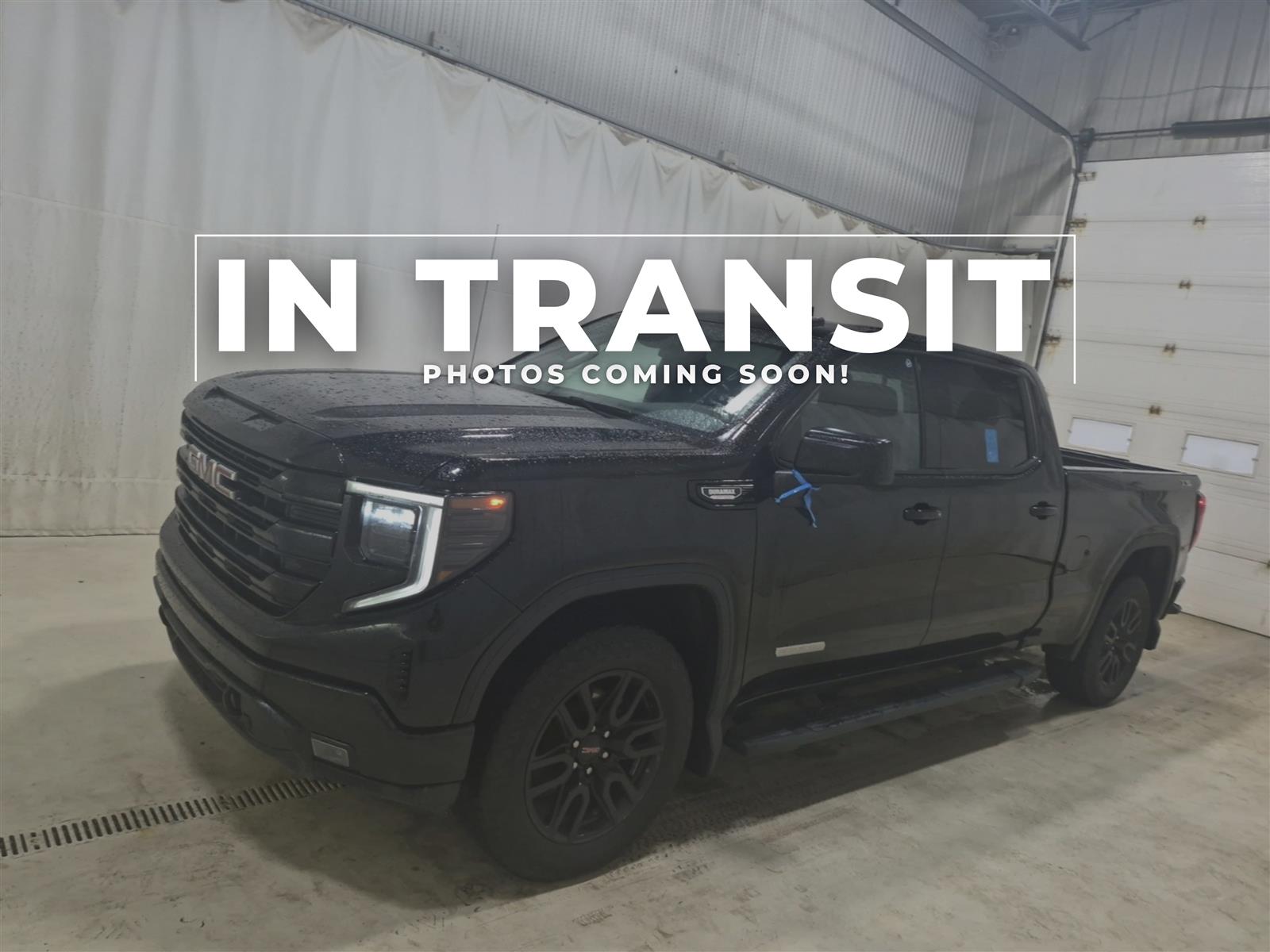 used 2024 GMC Sierra 1500 car, priced at $52,864