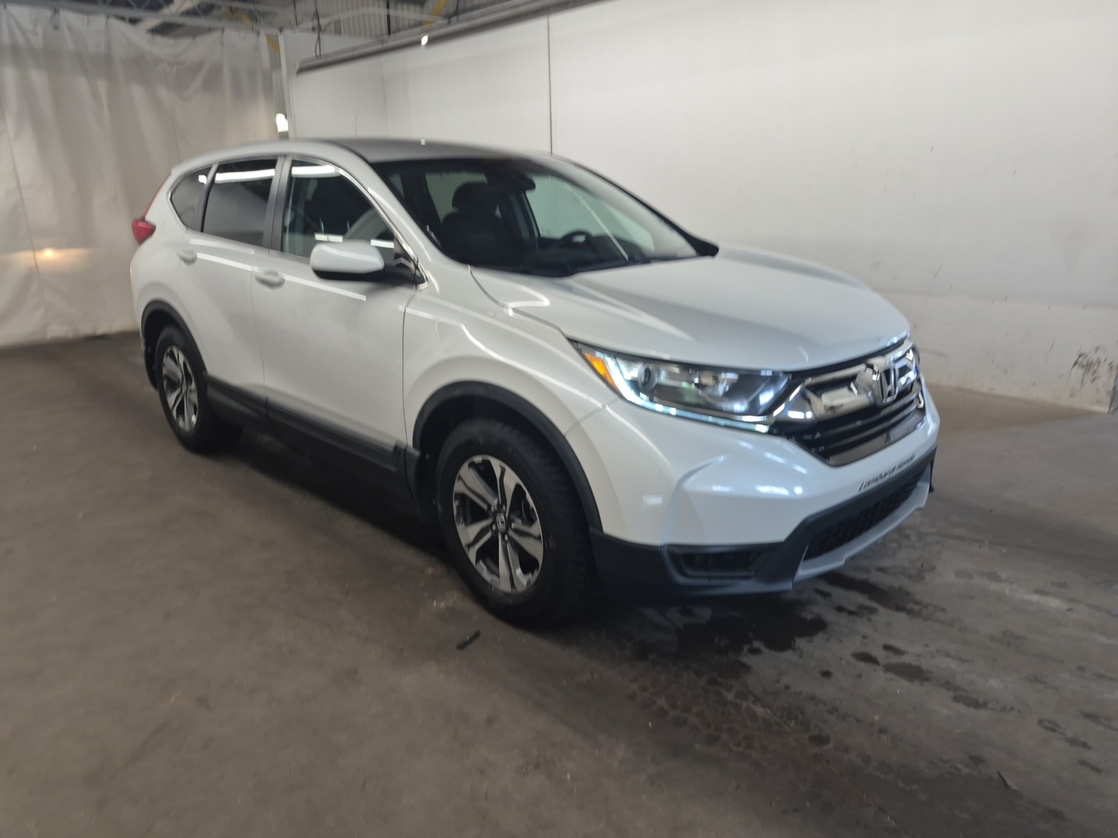 used 2019 Honda CR-V car, priced at $23,962