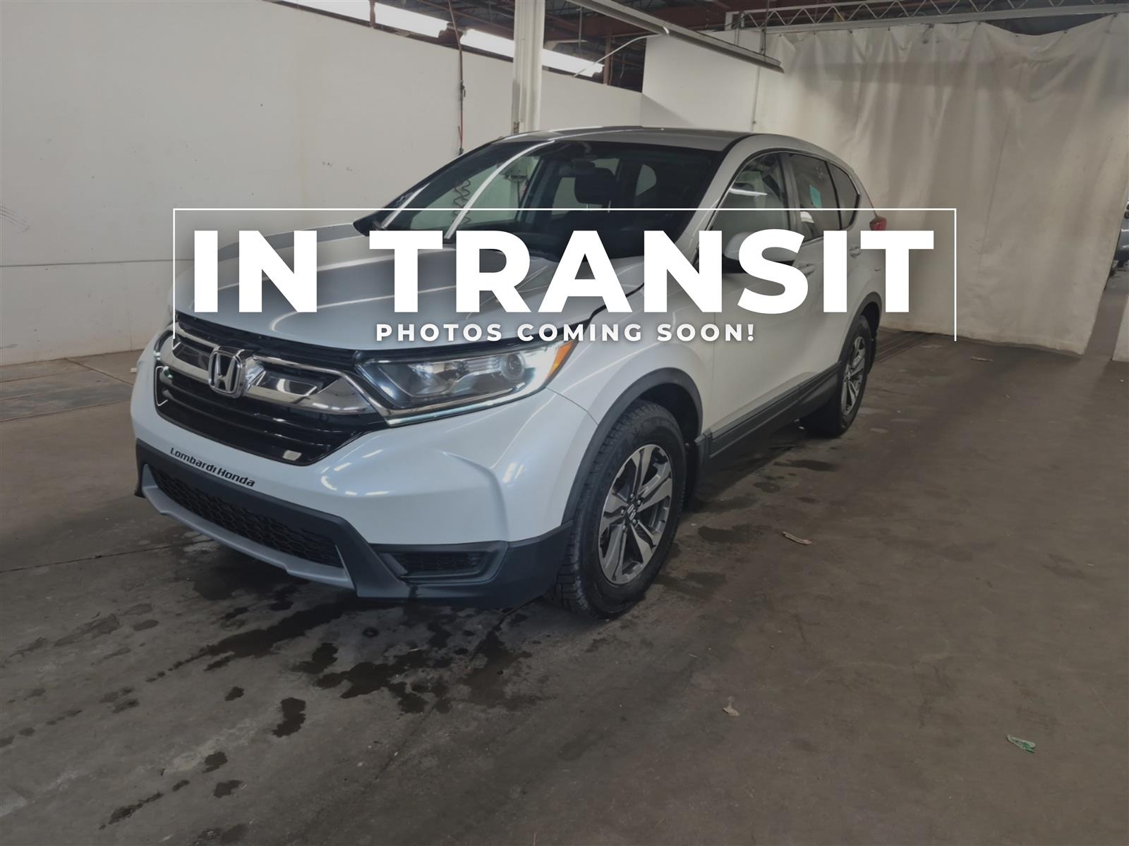 used 2019 Honda CR-V car, priced at $23,962