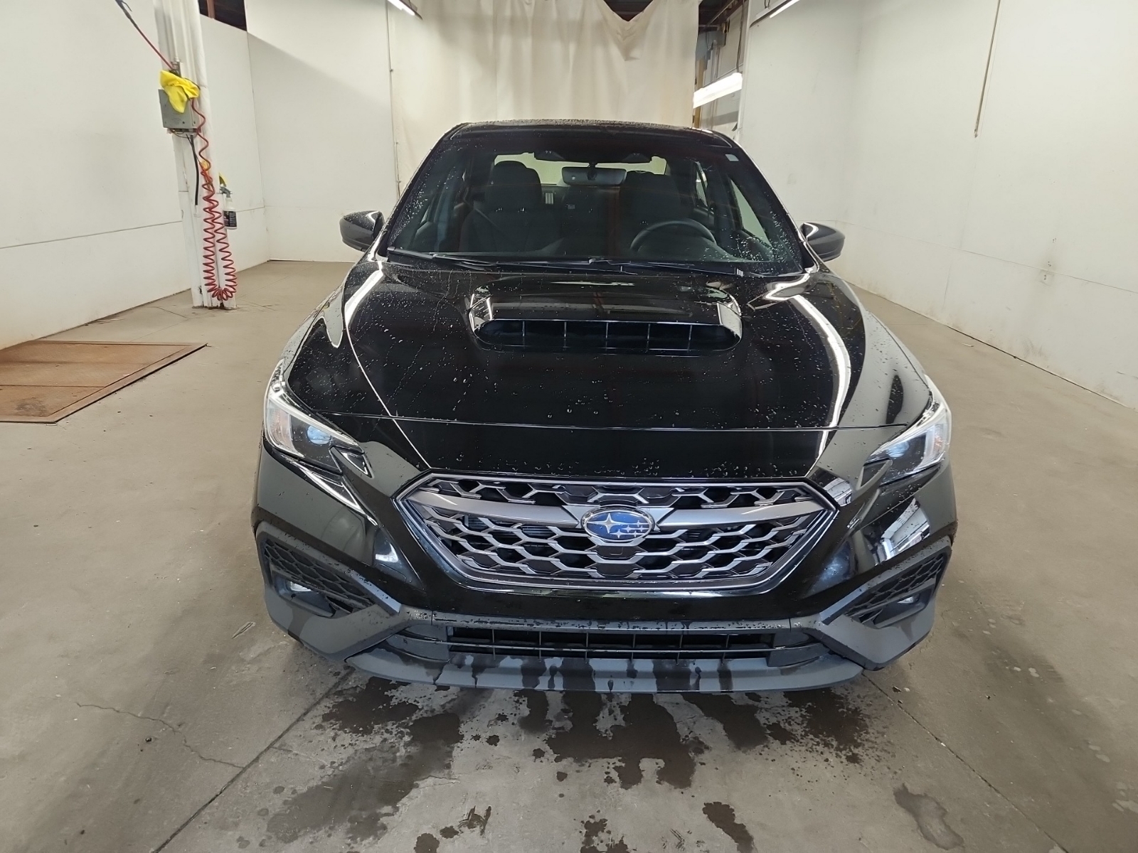 used 2024 Subaru WRX car, priced at $36,884
