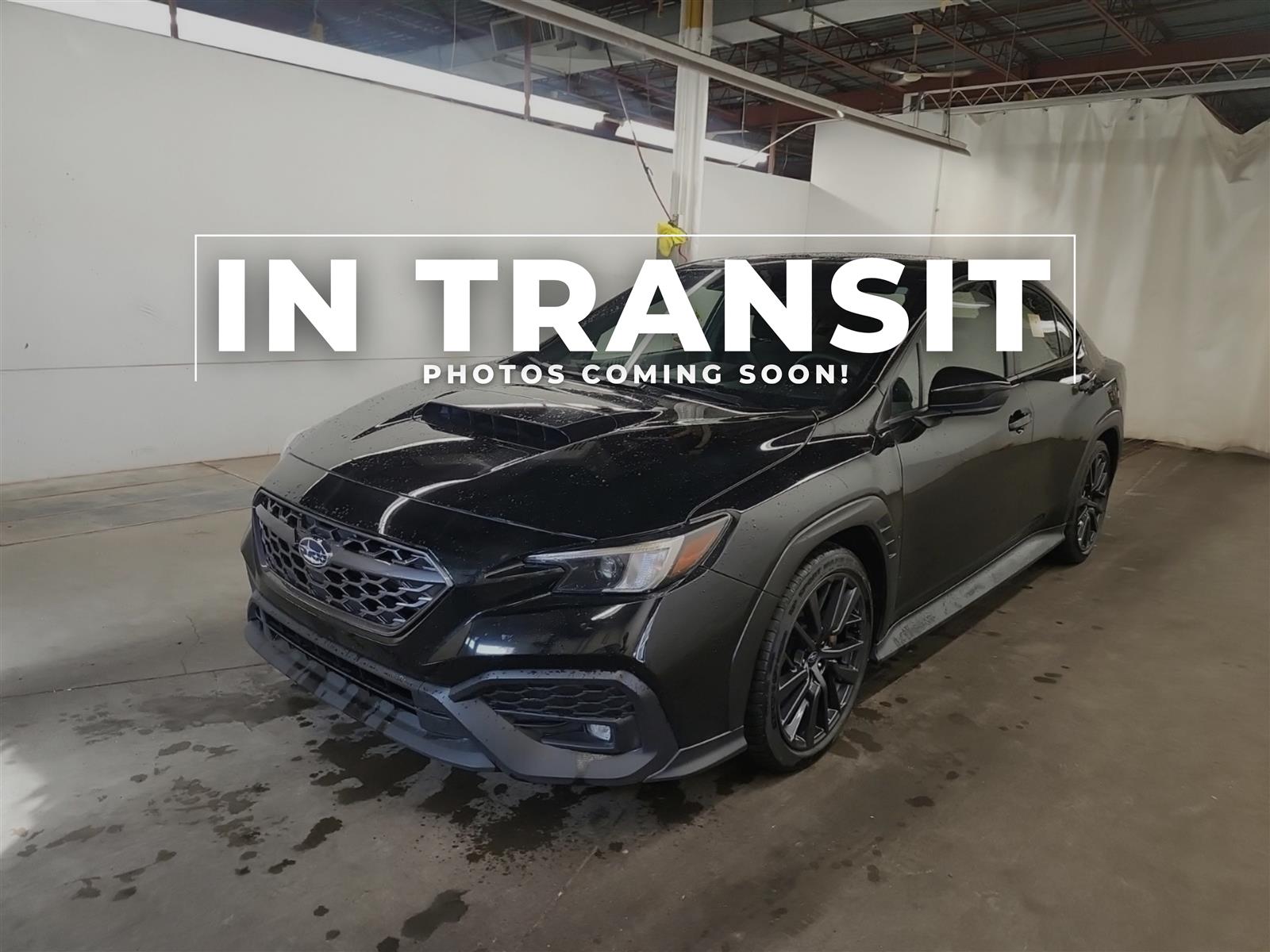 used 2024 Subaru WRX car, priced at $36,884