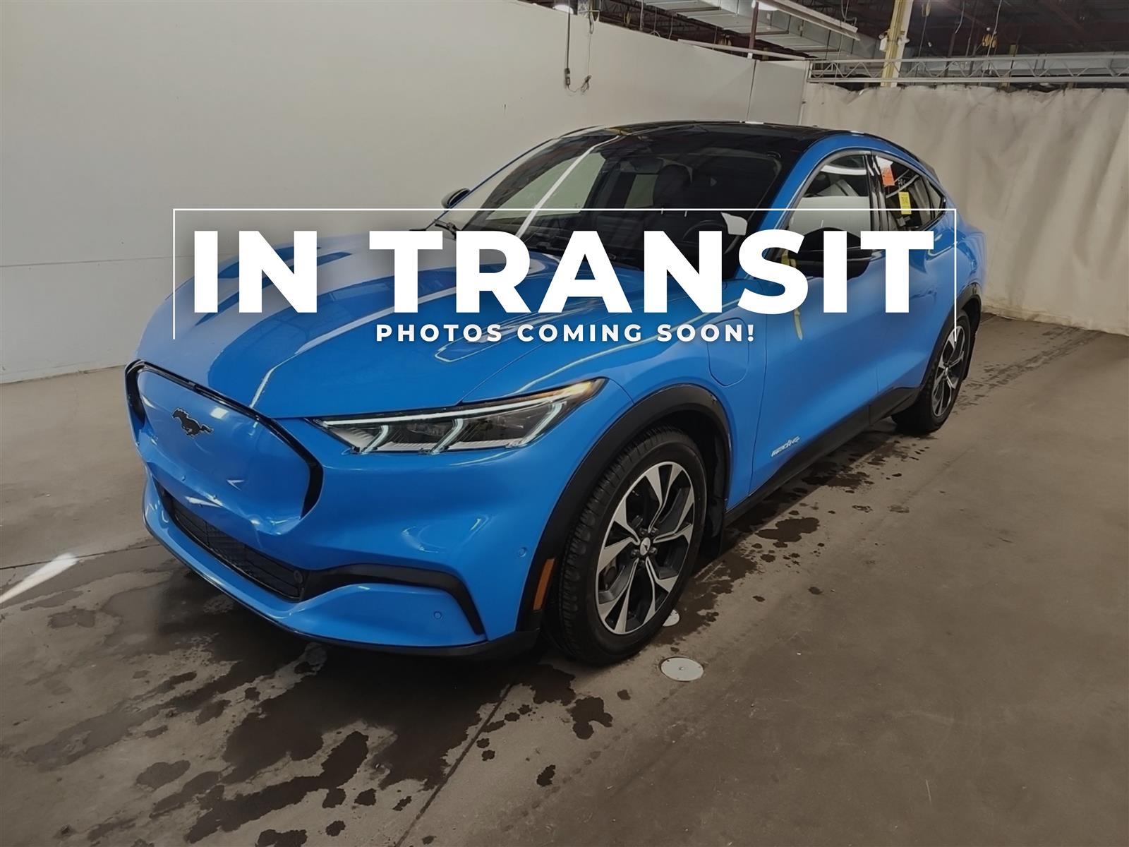 Blue 2023 Ford Mustang Mach-E SUV / Crossover All-Wheel Drive Automatic