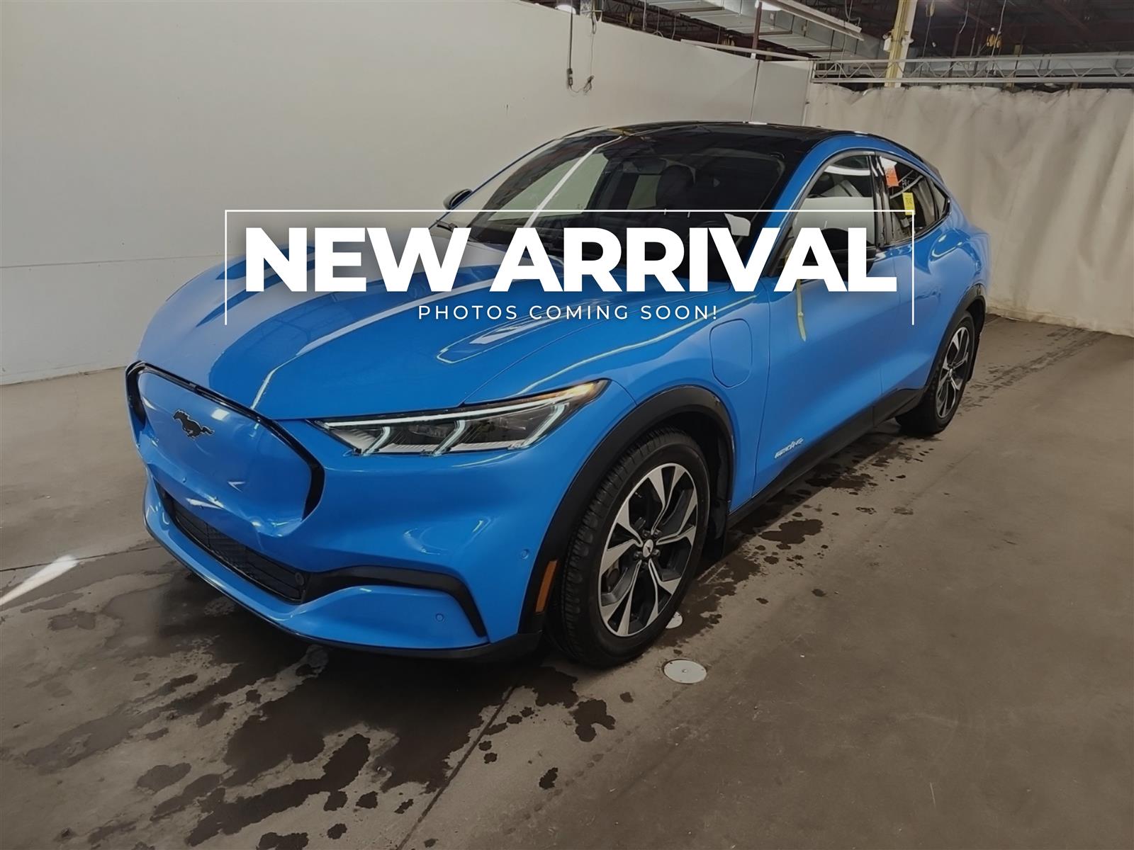 Blue 2023 Ford Mustang Mach-E SUV / Crossover All-Wheel Drive Automatic