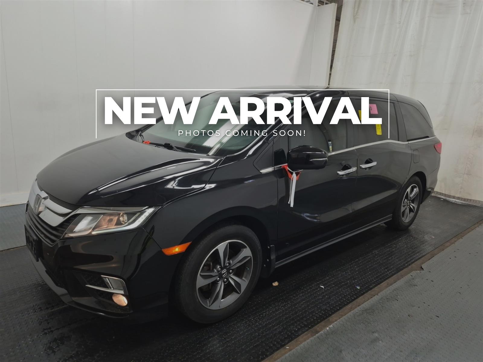 2019 Honda Odyssey EX-L NAVI | 8 PASS | LTHR | SUNROOF | NO ACCIDENTS - Main View