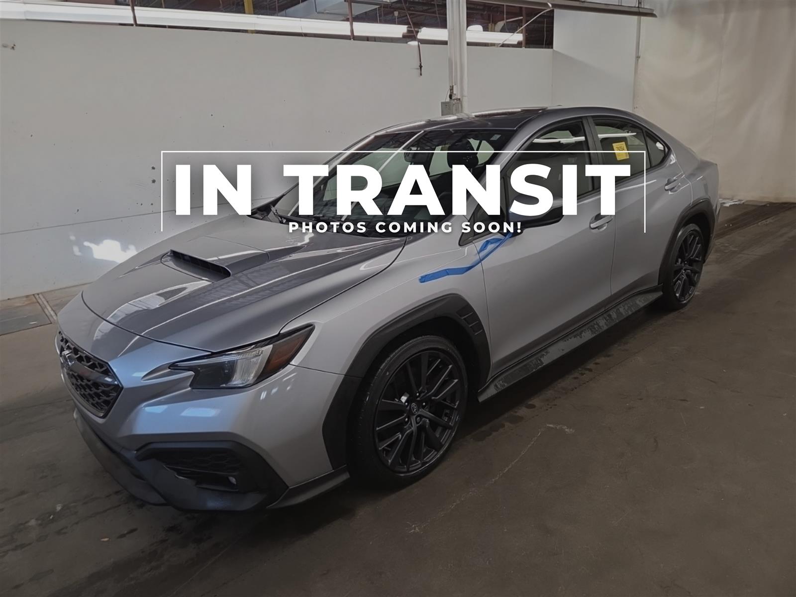 2023 Subaru WRX