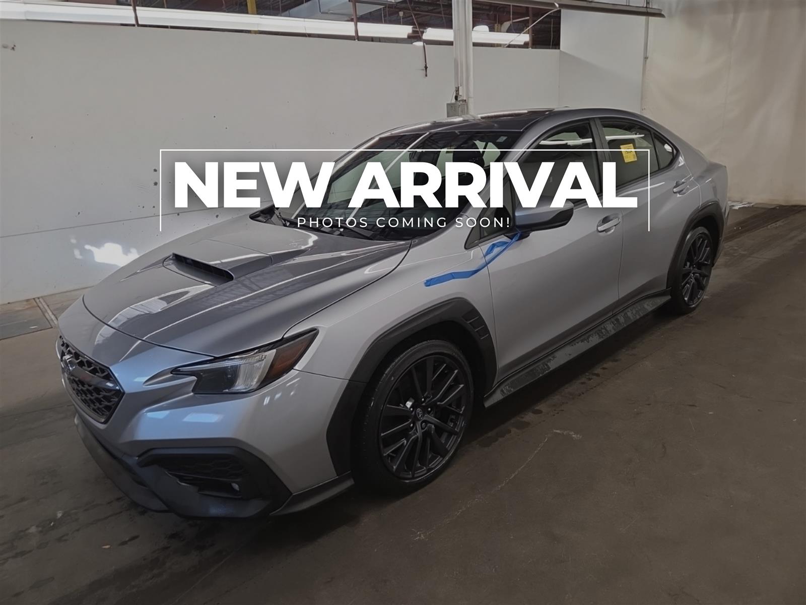 2023 Subaru WRX