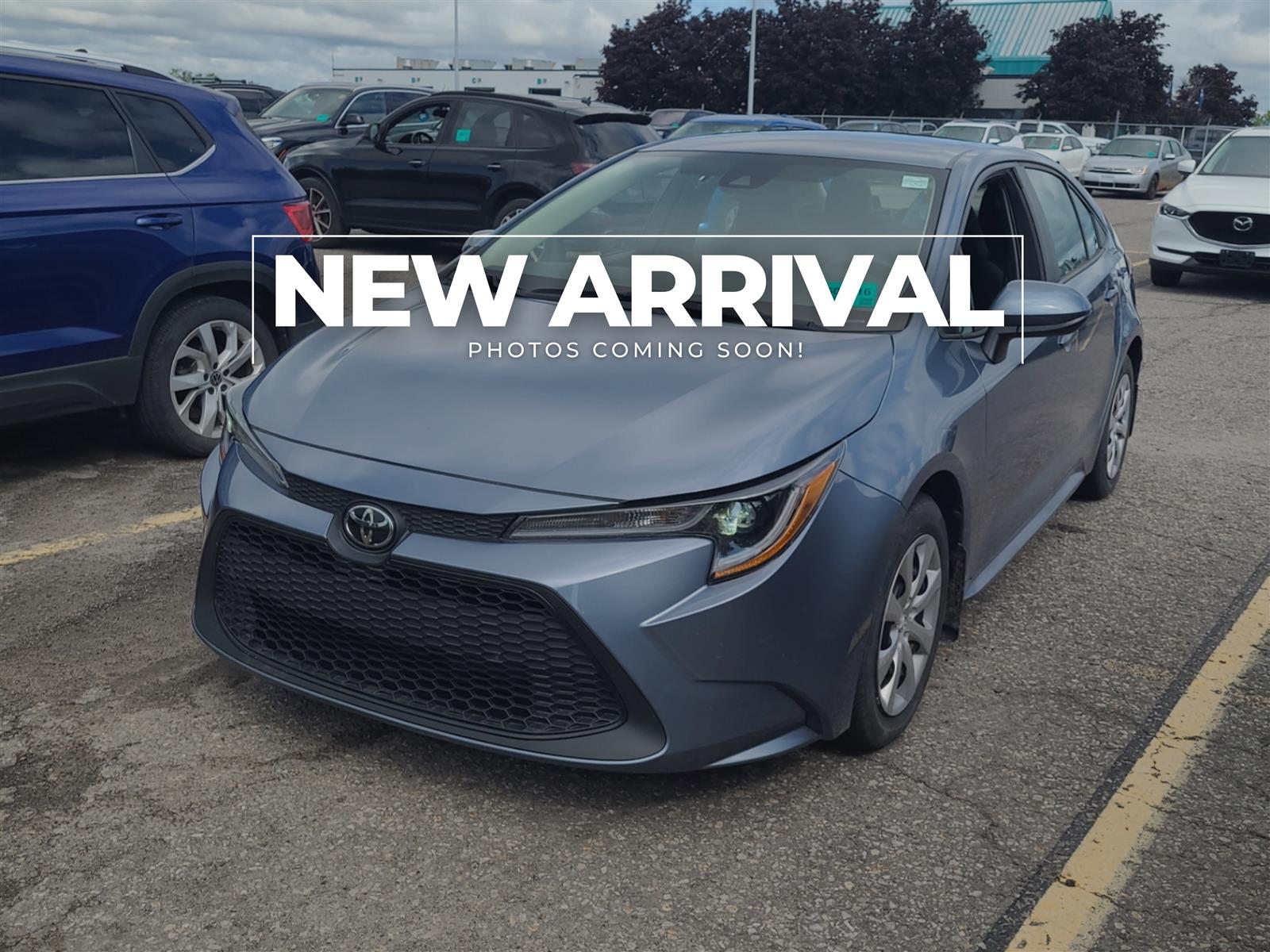 Gray 2020 Toyota Corolla Sedan Front-Wheel Drive Automatic