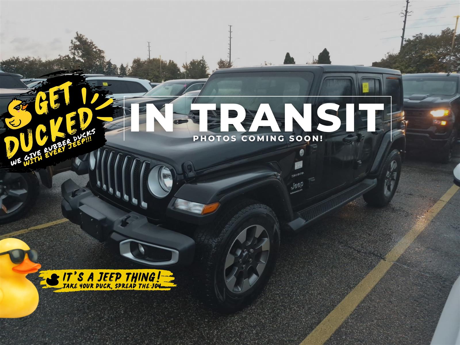 2023 Jeep Wrangler SAHARA 4X4 | 3.6 V6 | COLD PKG | TOW PKG | NO ACCIDENTS - Main View