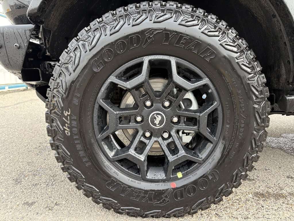 2026 Ford Bronco Badlands | 332A: BLACK APPEARANCE PACKAGE | HARD T - Thumbnail 6