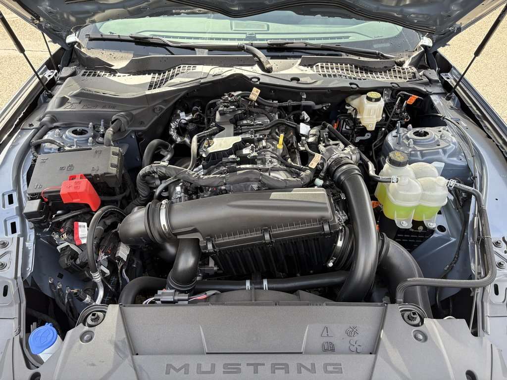2026 Ford Mustang EcoBoost Premium | 201A: ACTIVE VALVE PERFORMANCE - Thumbnail 31