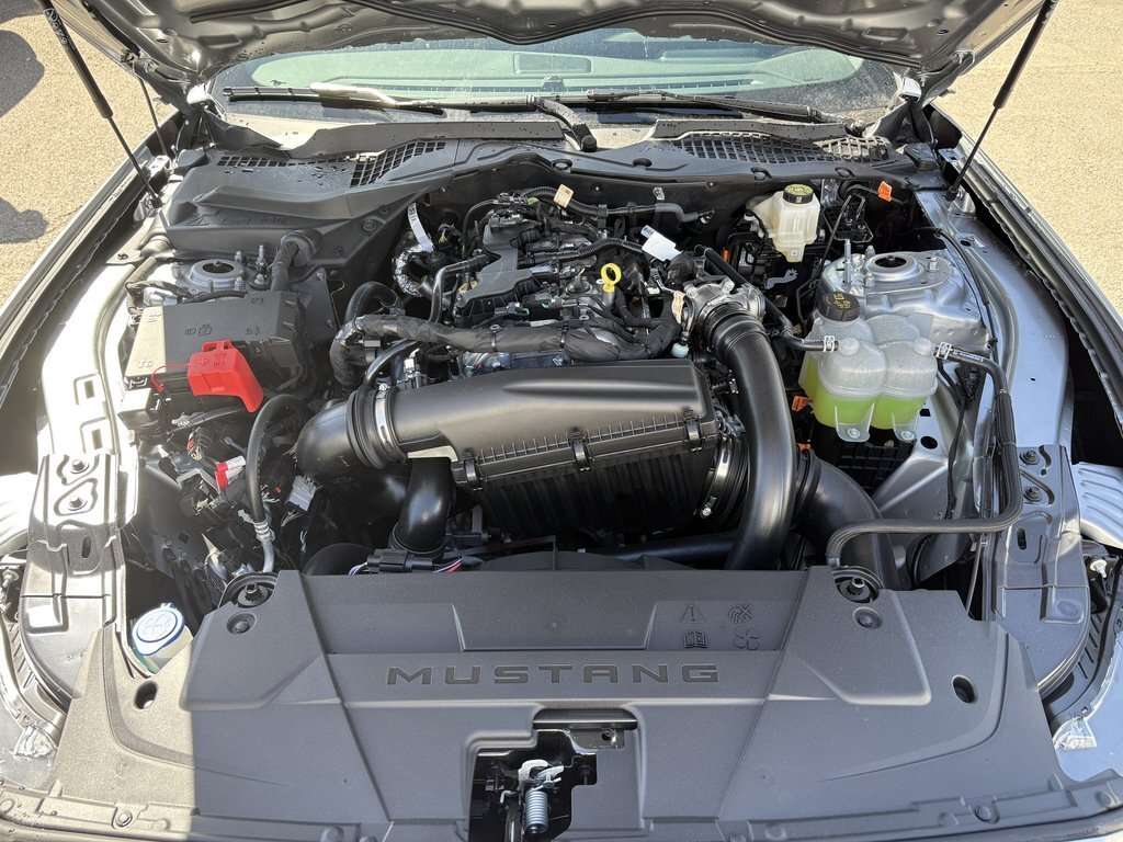 2026 Ford Mustang EcoBoost Premium | 201A: B&O SOUND SYSTEM | ADAPTI - Thumbnail 28