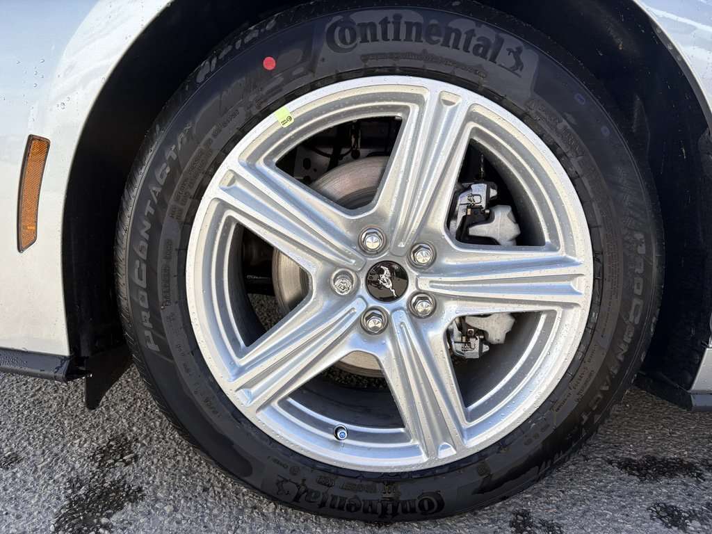 2026 Ford Mustang EcoBoost Premium | 201A: B&O SOUND SYSTEM | ADAPTI - Thumbnail 6