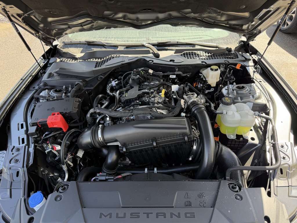 2026 Ford Mustang EcoBoost Premium | 201A: ACTIVE VALVE PERFORMANCE - Thumbnail 30