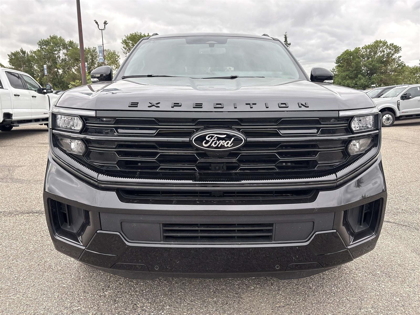 2026 Ford Expedition PLATINUM HIGH OUTPUT STEALTH PERFORMANCE - Thumbnail 4