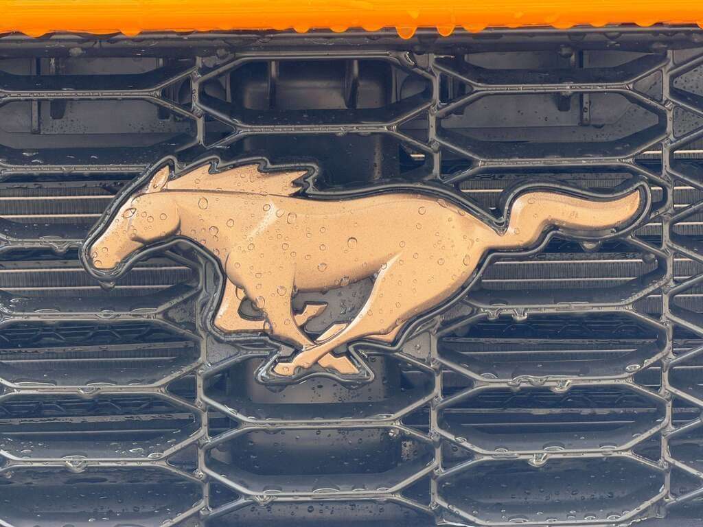 2026 Ford Mustang EcoBoost | BRONZE APPEARANCE PACKAGE - Thumbnail 5