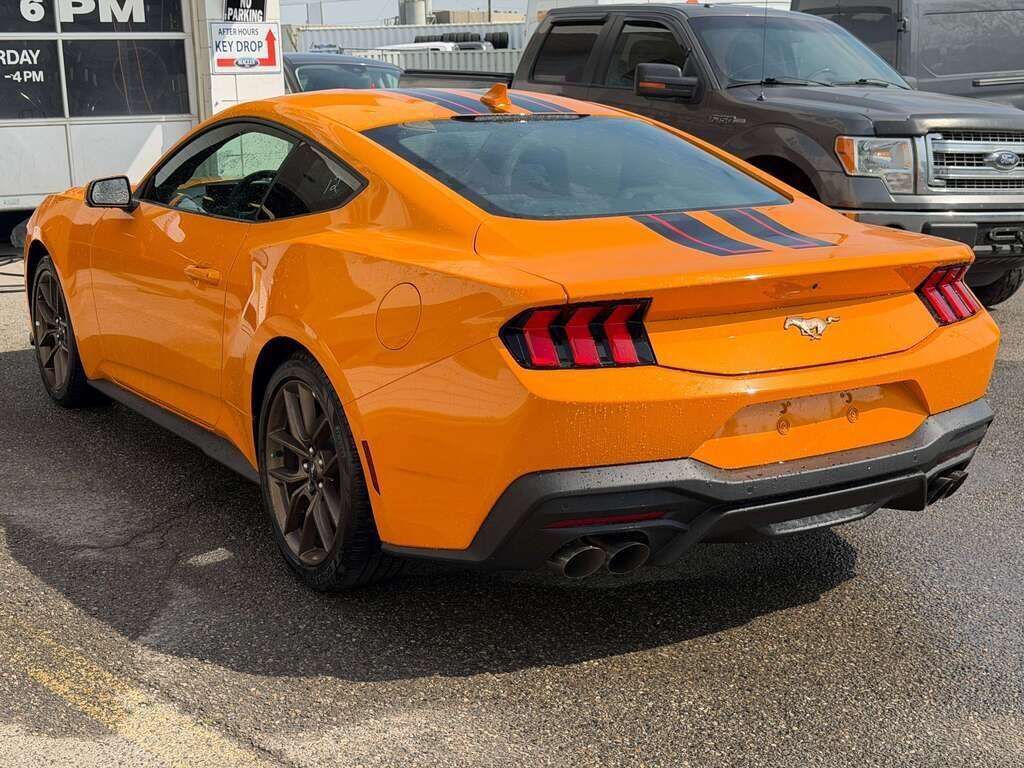 2026 Ford Mustang EcoBoost | BRONZE APPEARANCE PACKAGE - Thumbnail 8