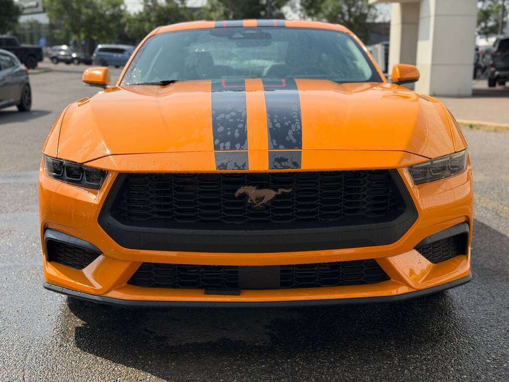 2026 Ford Mustang EcoBoost | GT BRONZE APPEARANCE PACKAGE - Thumbnail 4