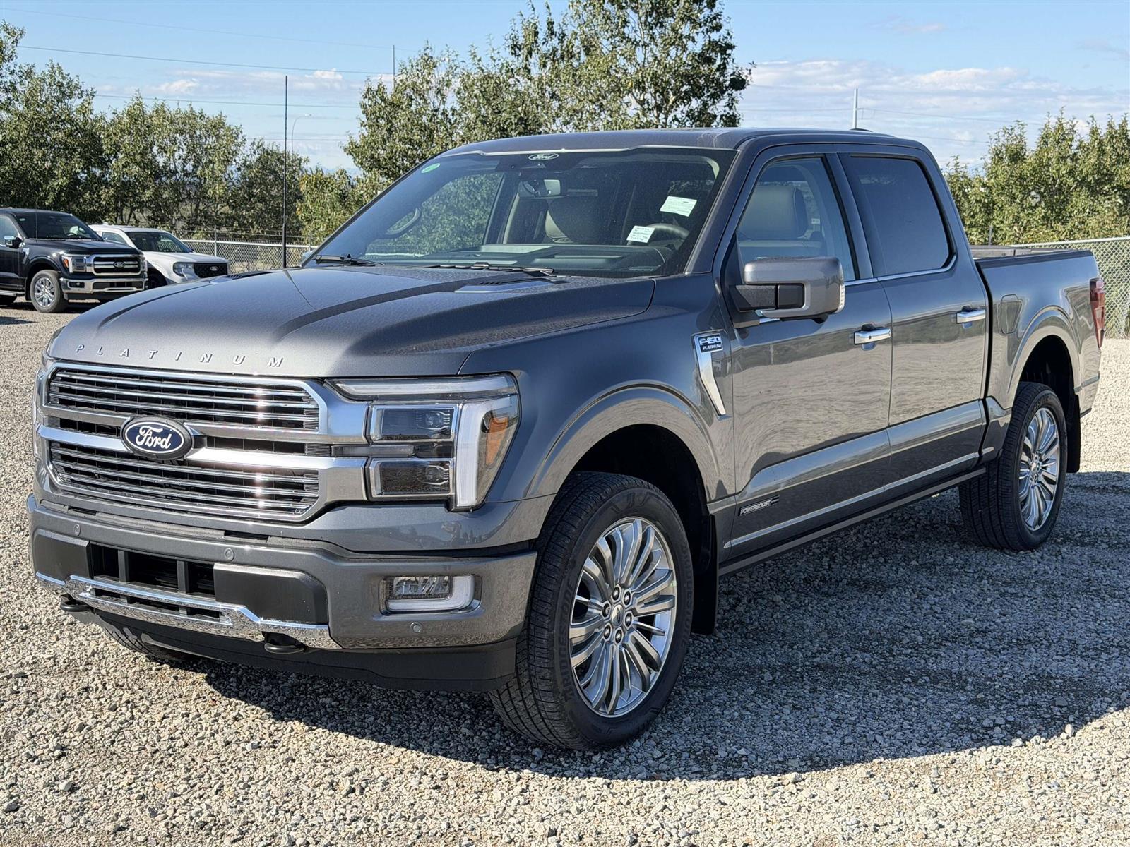 2026 Ford F-150 Platinum | TOW/HAUL PACKAGE | TWIN PANEL MOONROOF - Thumbnail 5