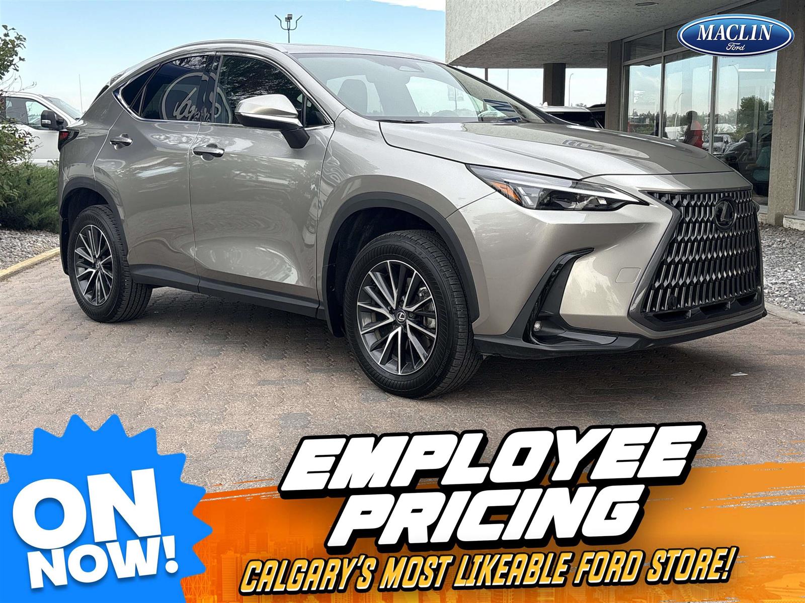 2025 Lexus NX 350h AWD - Main View