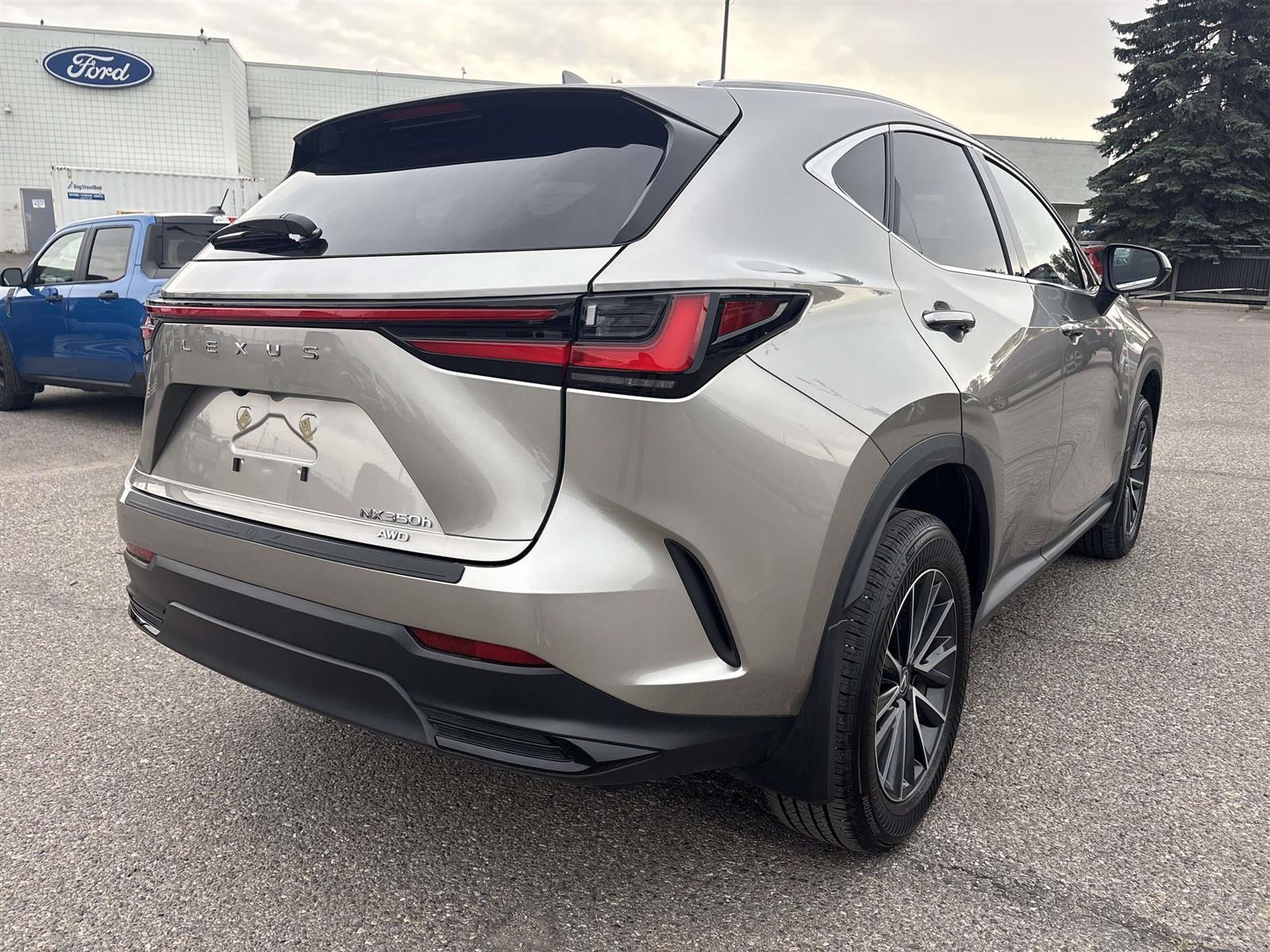 2025 Lexus NX 350h AWD - Thumbnail 11