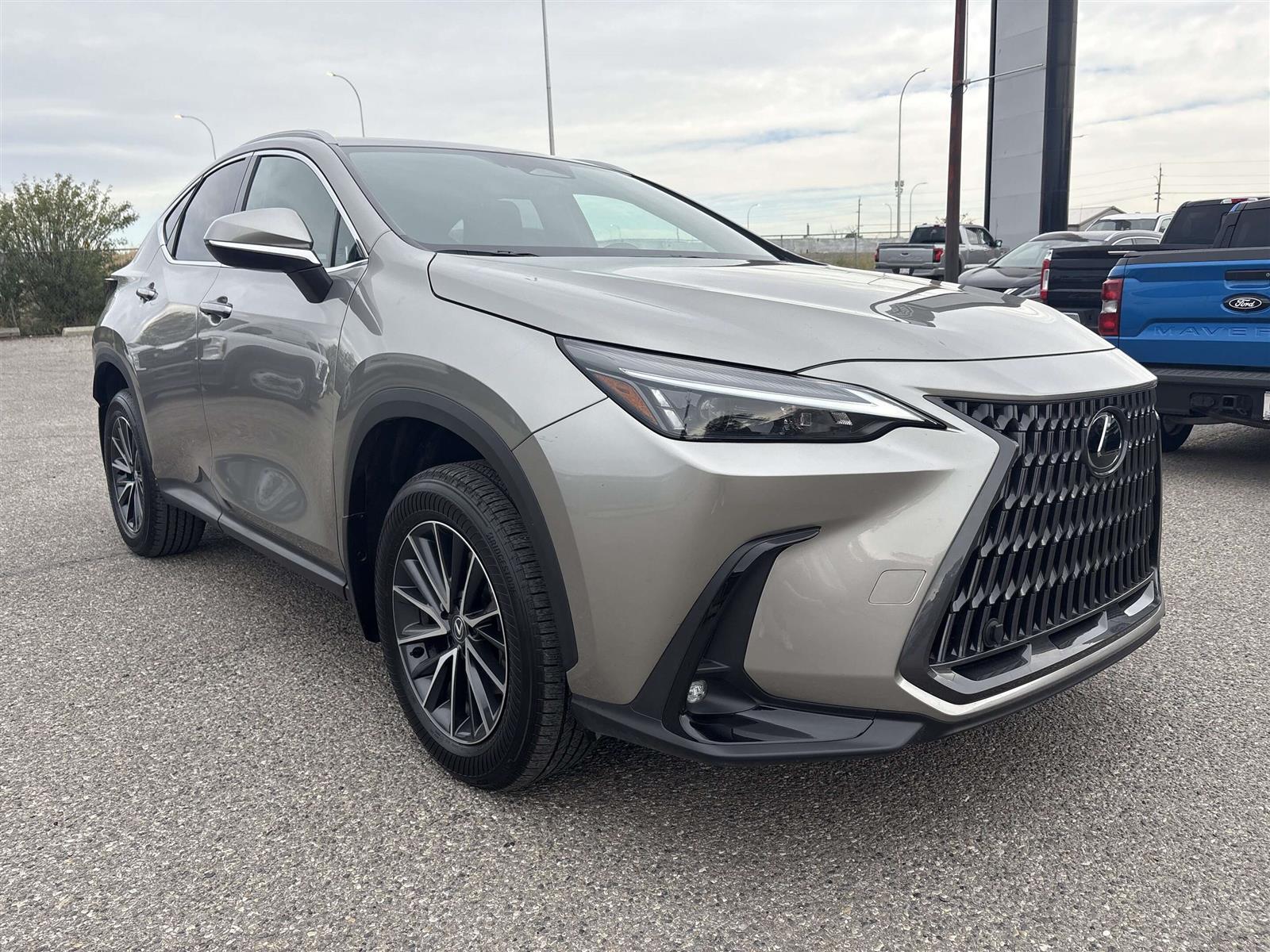 2025 Lexus NX 350h AWD - Thumbnail 13