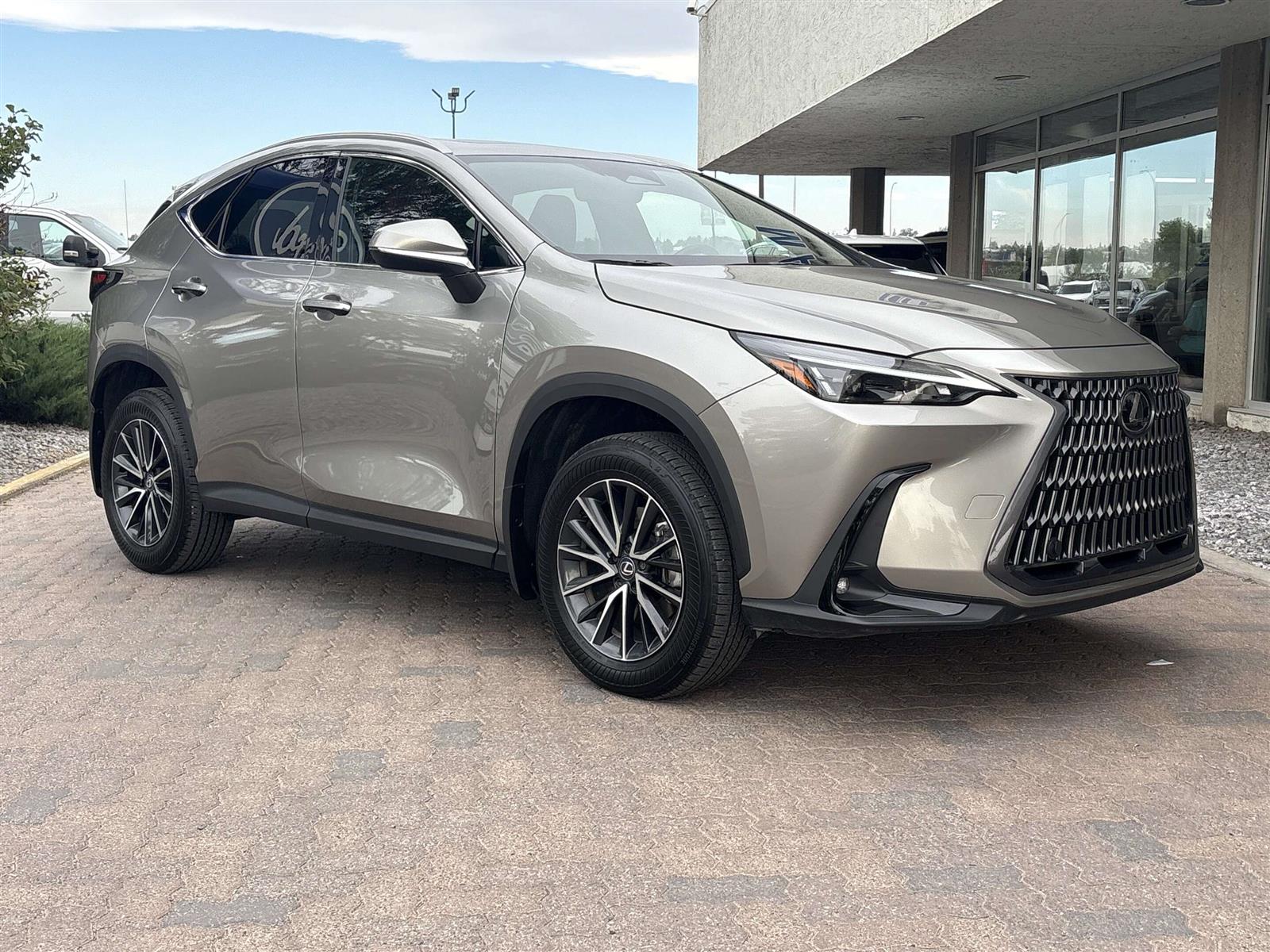 2025 Lexus NX 350h AWD - Thumbnail 2