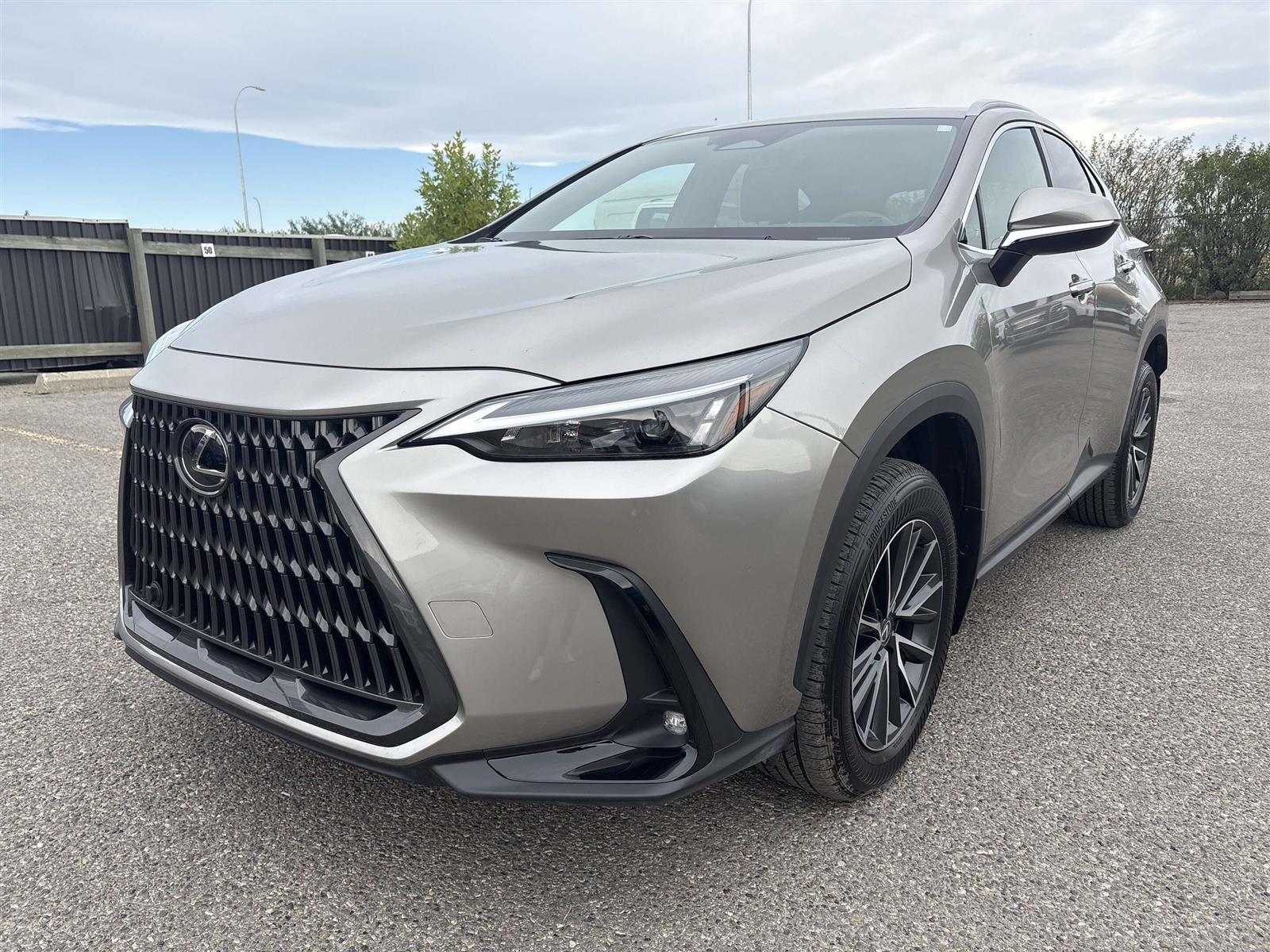 2025 Lexus NX 350h AWD - Thumbnail 5