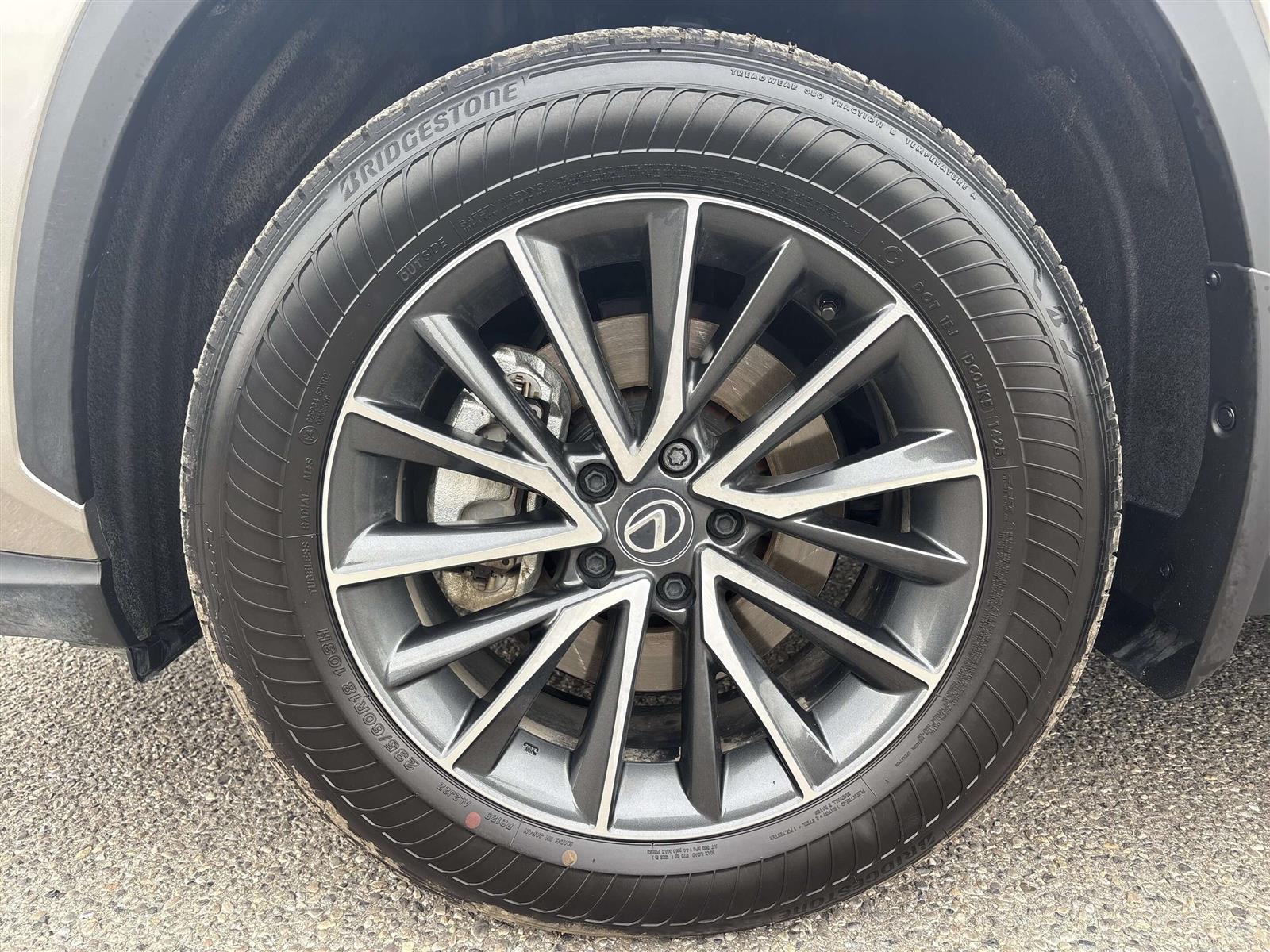 2025 Lexus NX 350h AWD - Thumbnail 6