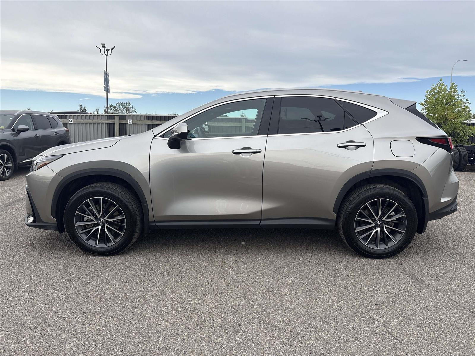 2025 Lexus NX 350h AWD - Thumbnail 7