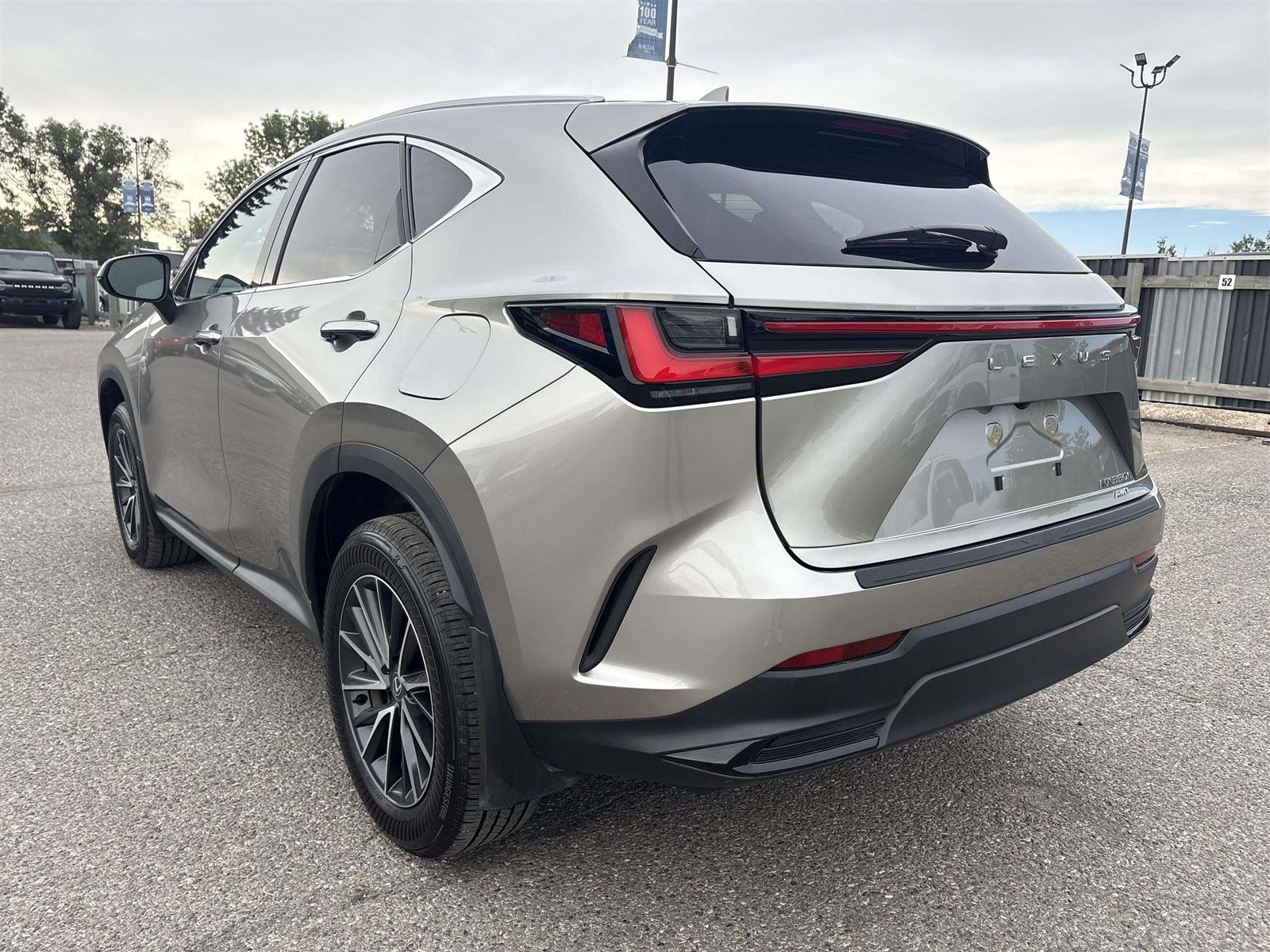 2025 Lexus NX 350h AWD - Thumbnail 8