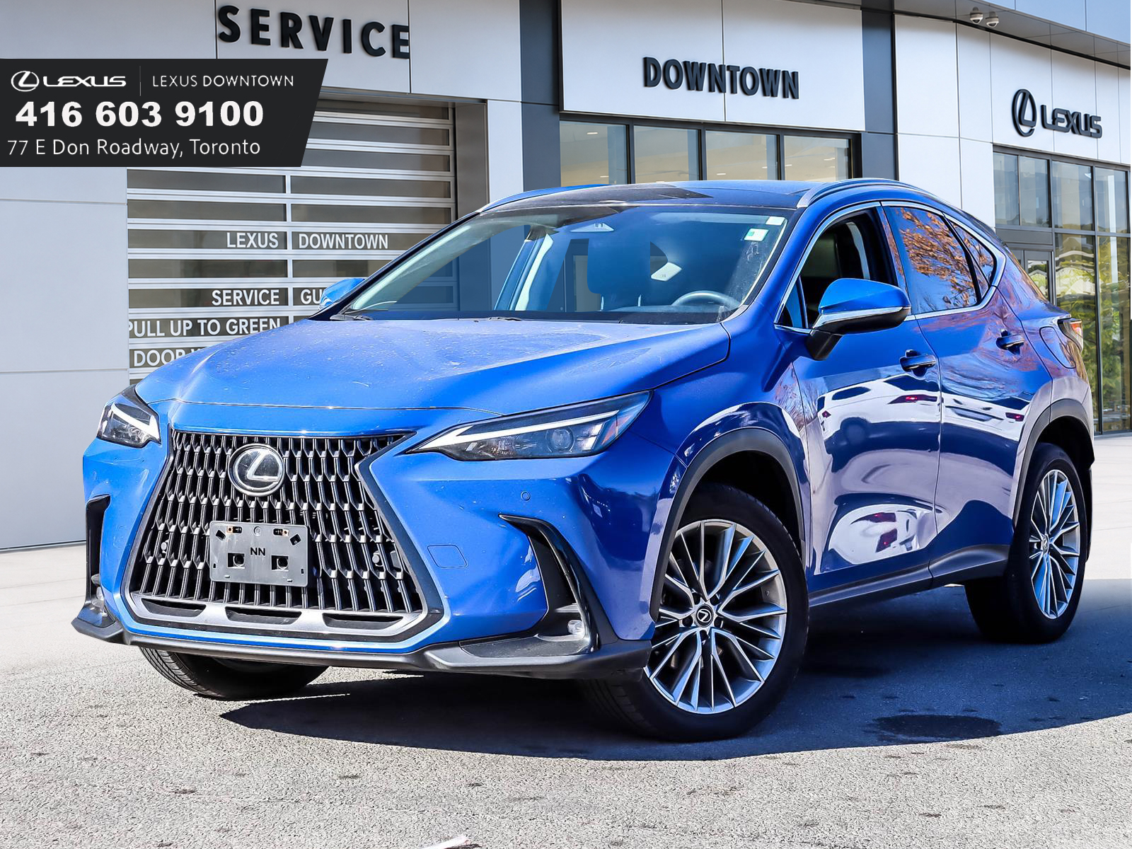 2024 Lexus NX