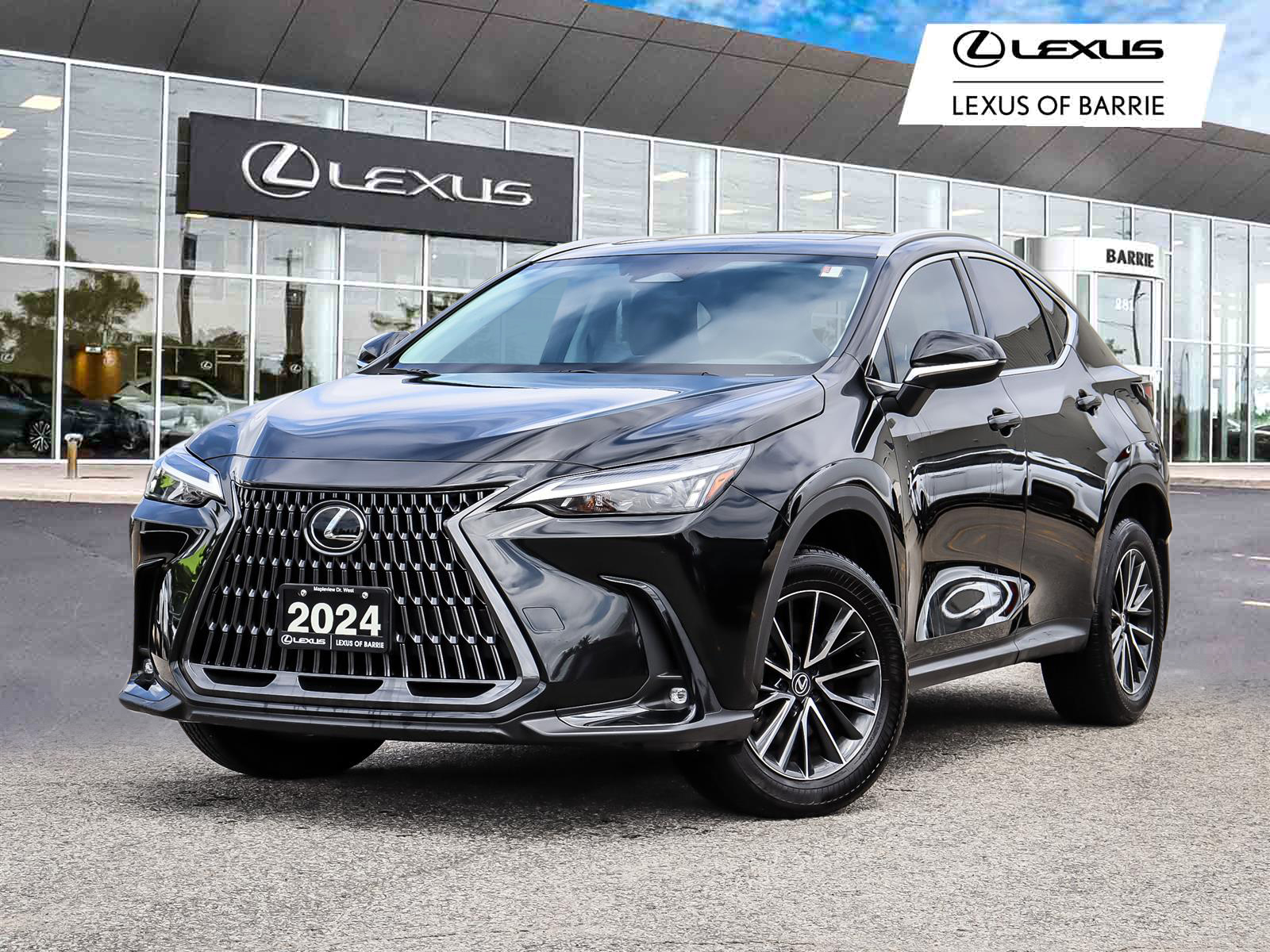 2024 Lexus NX 350 - Main View