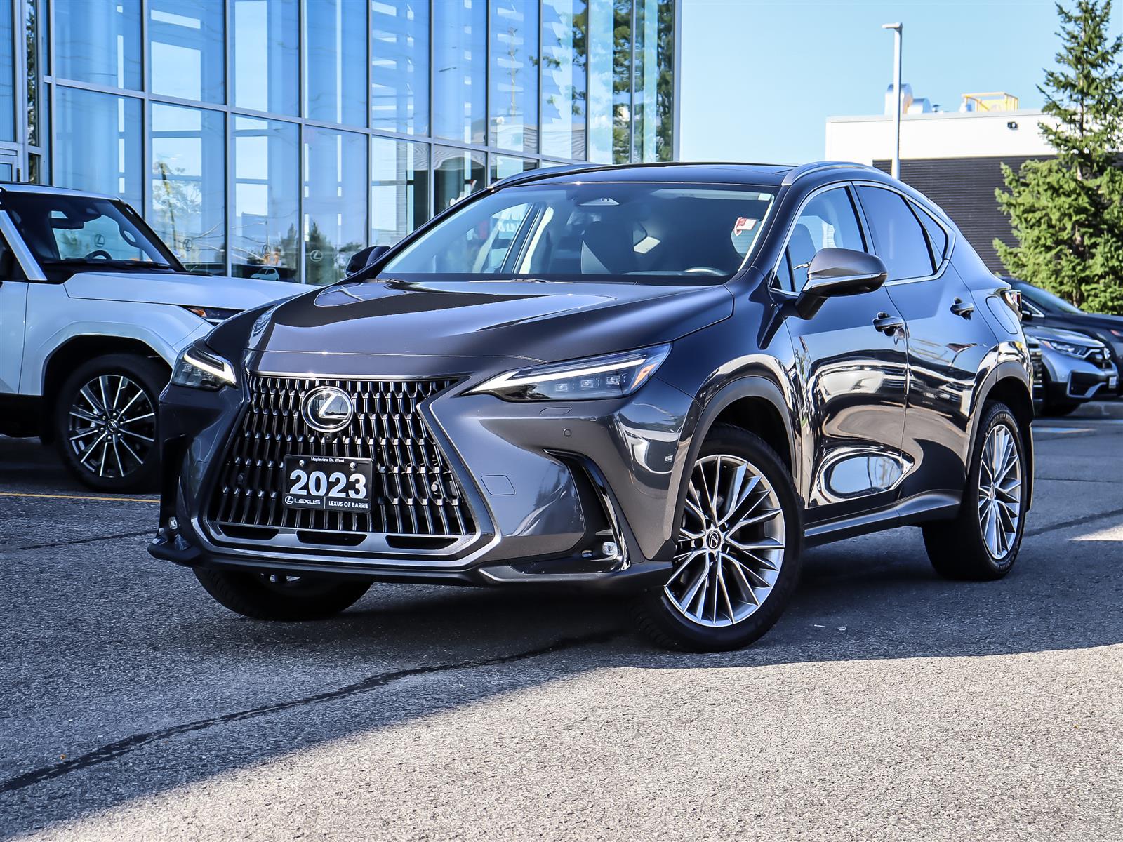 Gray 2023 Lexus NX Hybrid SUV / Crossover Automatic