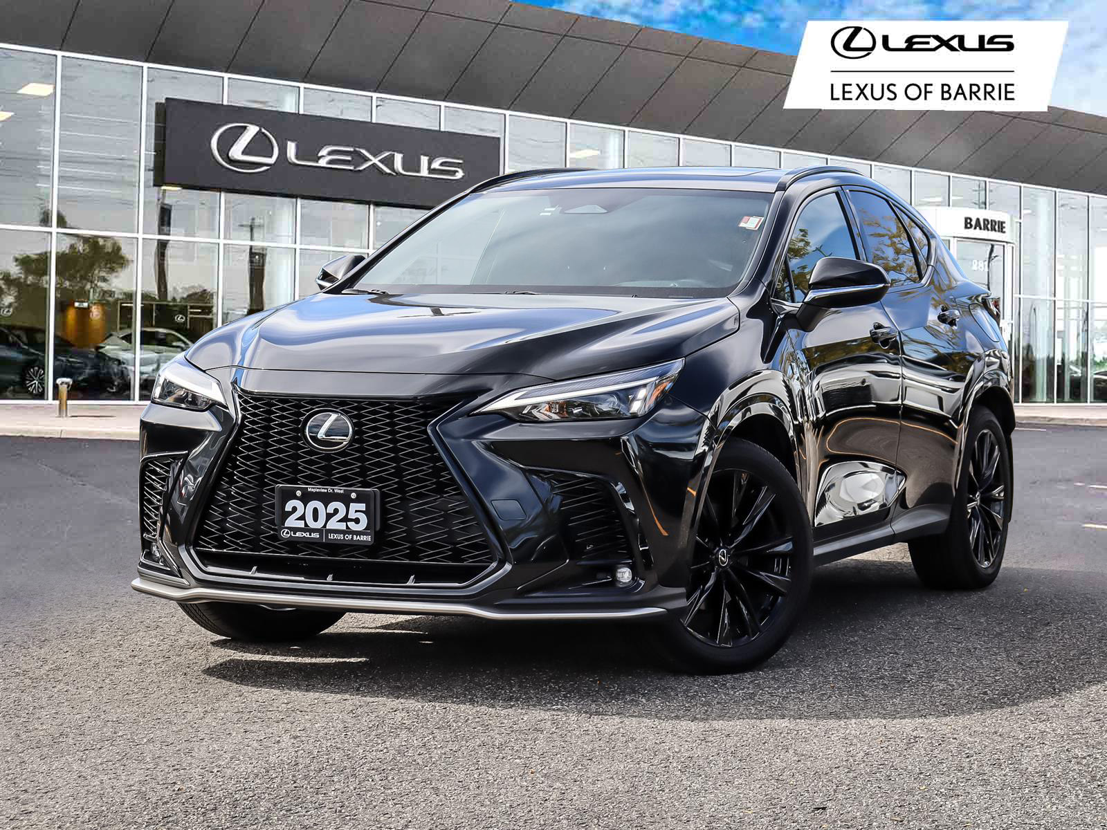 2025 Lexus NX